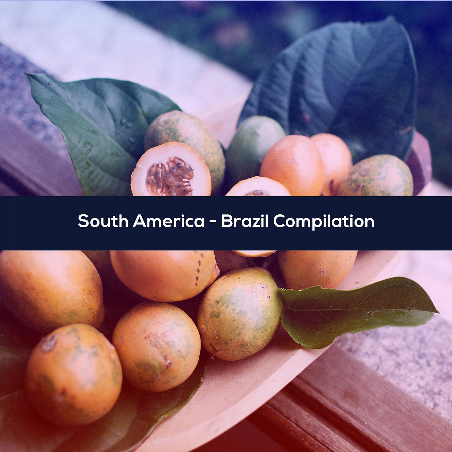 Постер альбома SOUTH AMERICA - BRAZIL COMPILATION