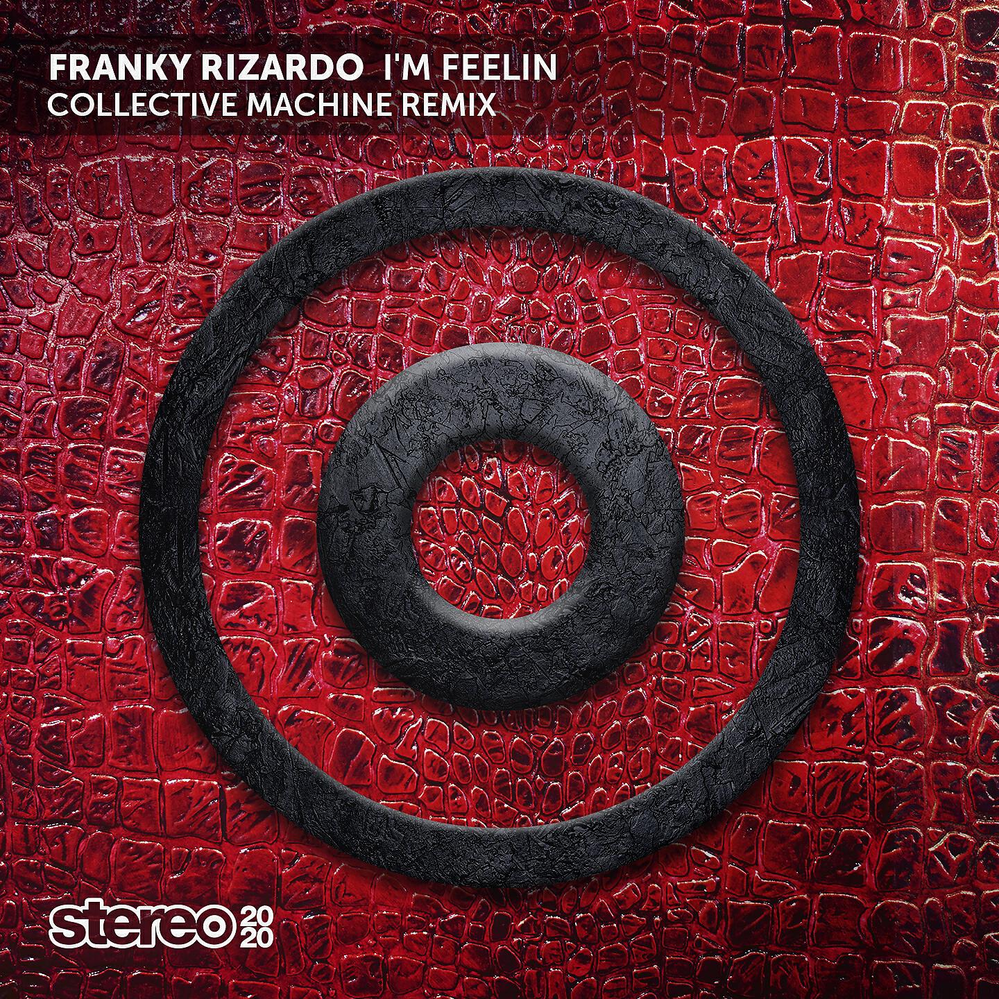 Franky Rizardo - I'm Feelin (Collective Machine Remix)
