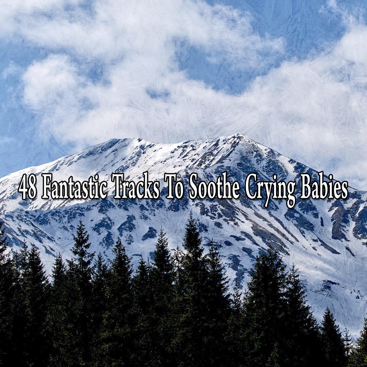 White Noise Babies - Trusting Rest