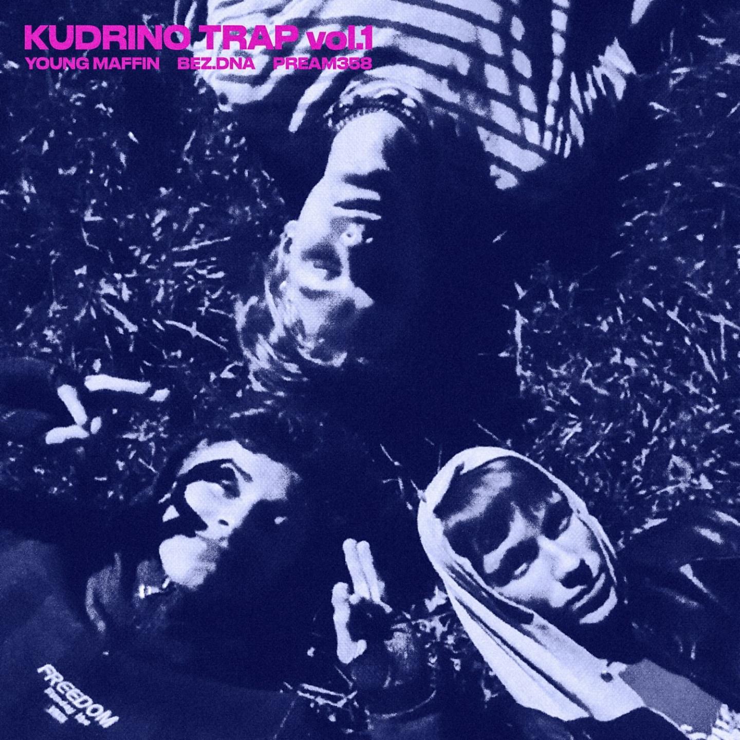 Постер альбома Kudrino Trap, Vol. 1