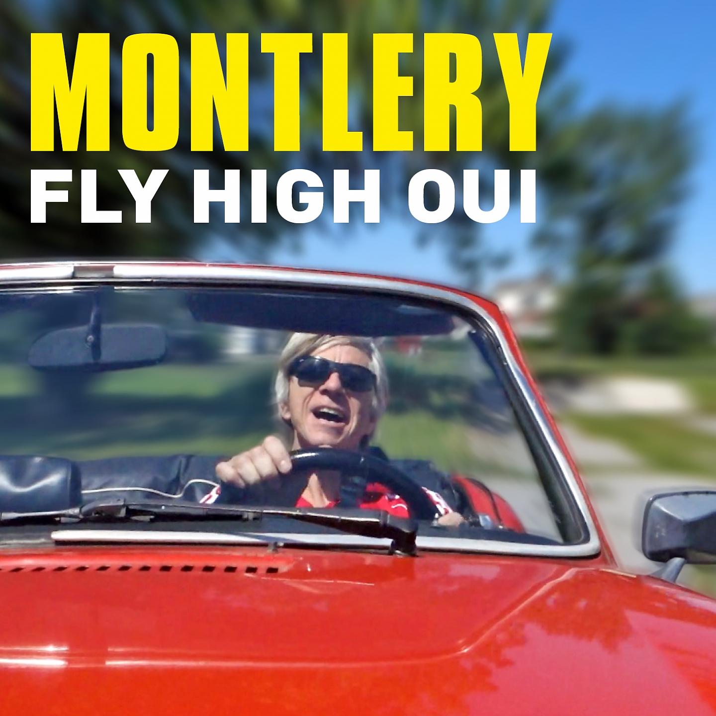 Постер альбома Fly High Oui