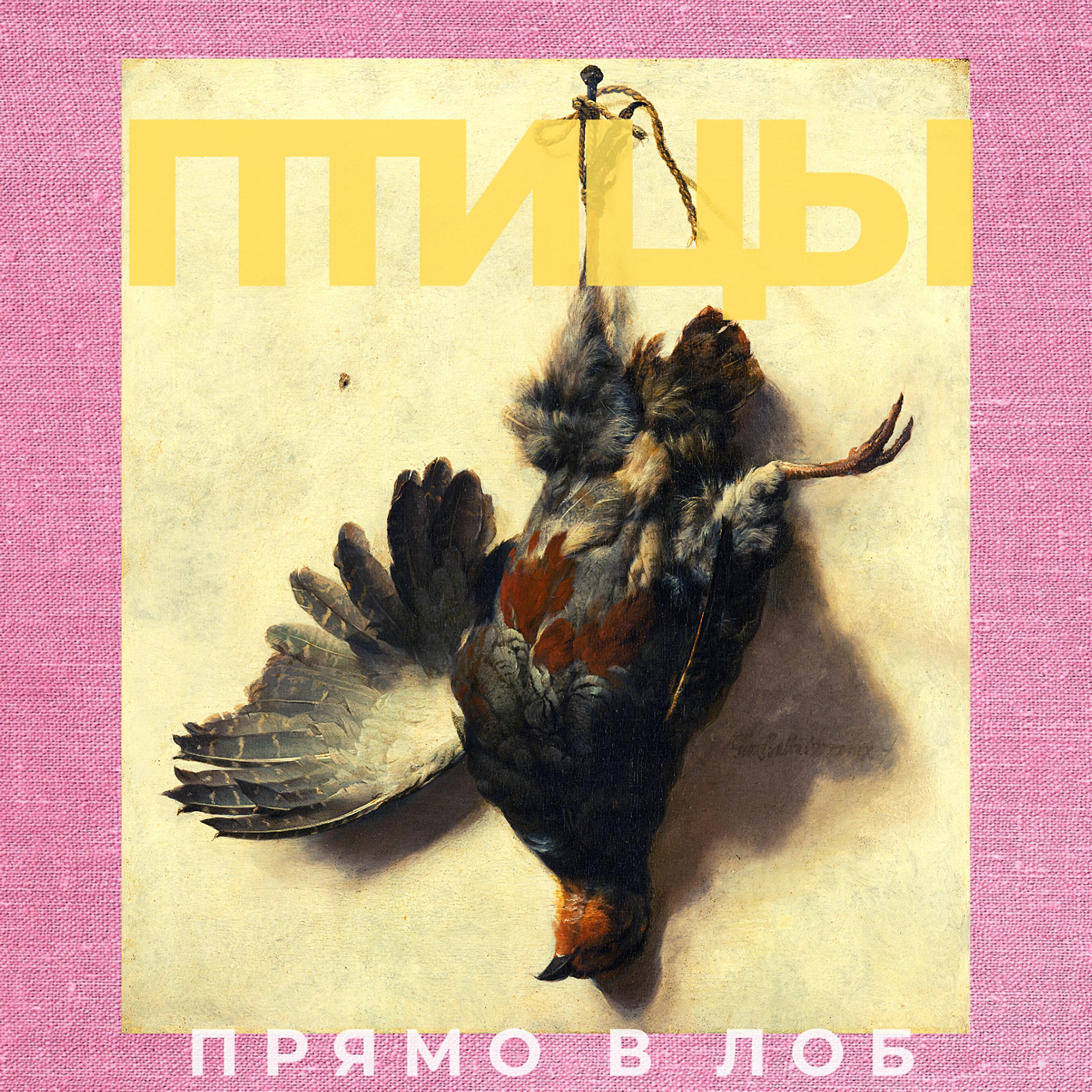 Постер альбома Птицы