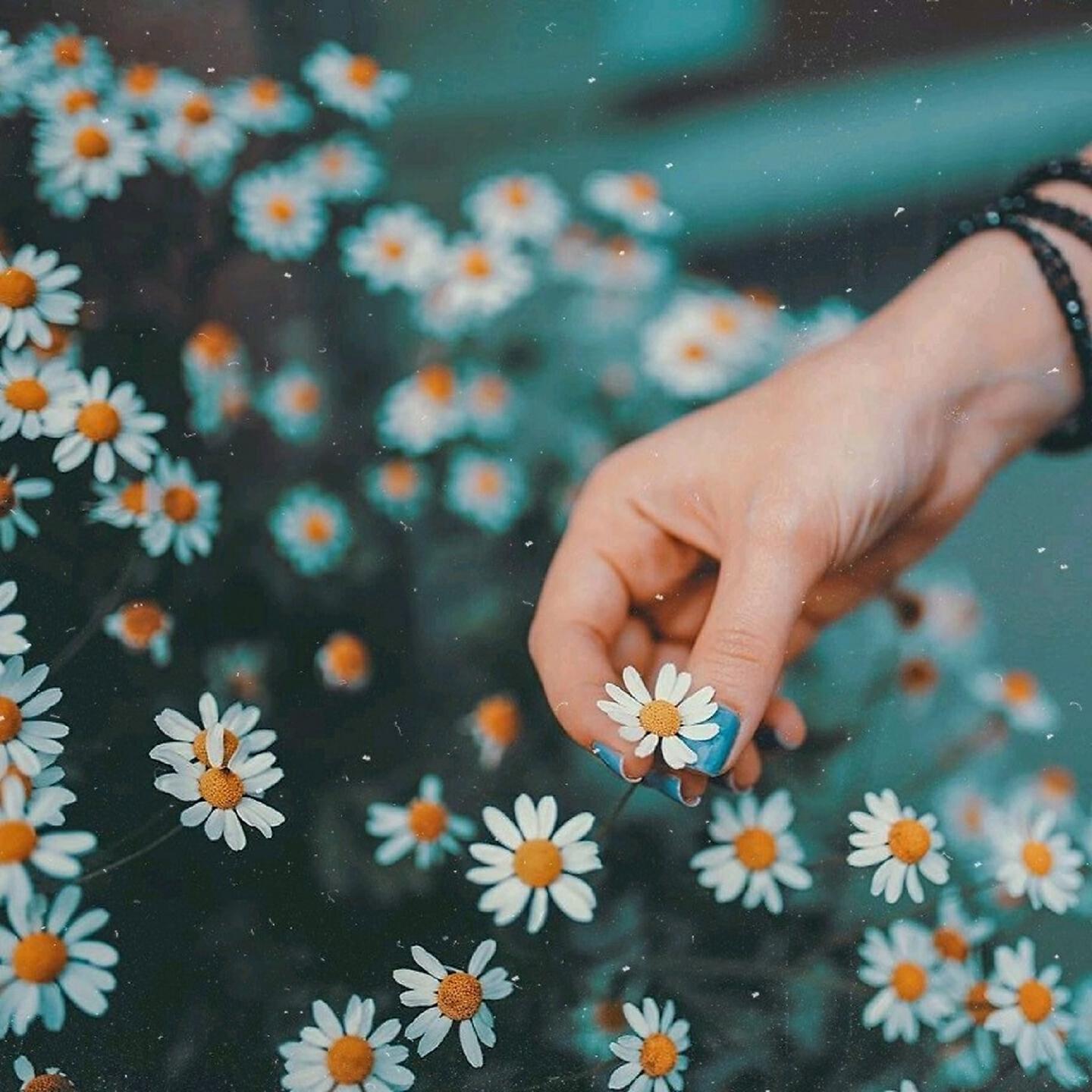 Hirai Zerdüş - Ölüyoruz Bir Köşede