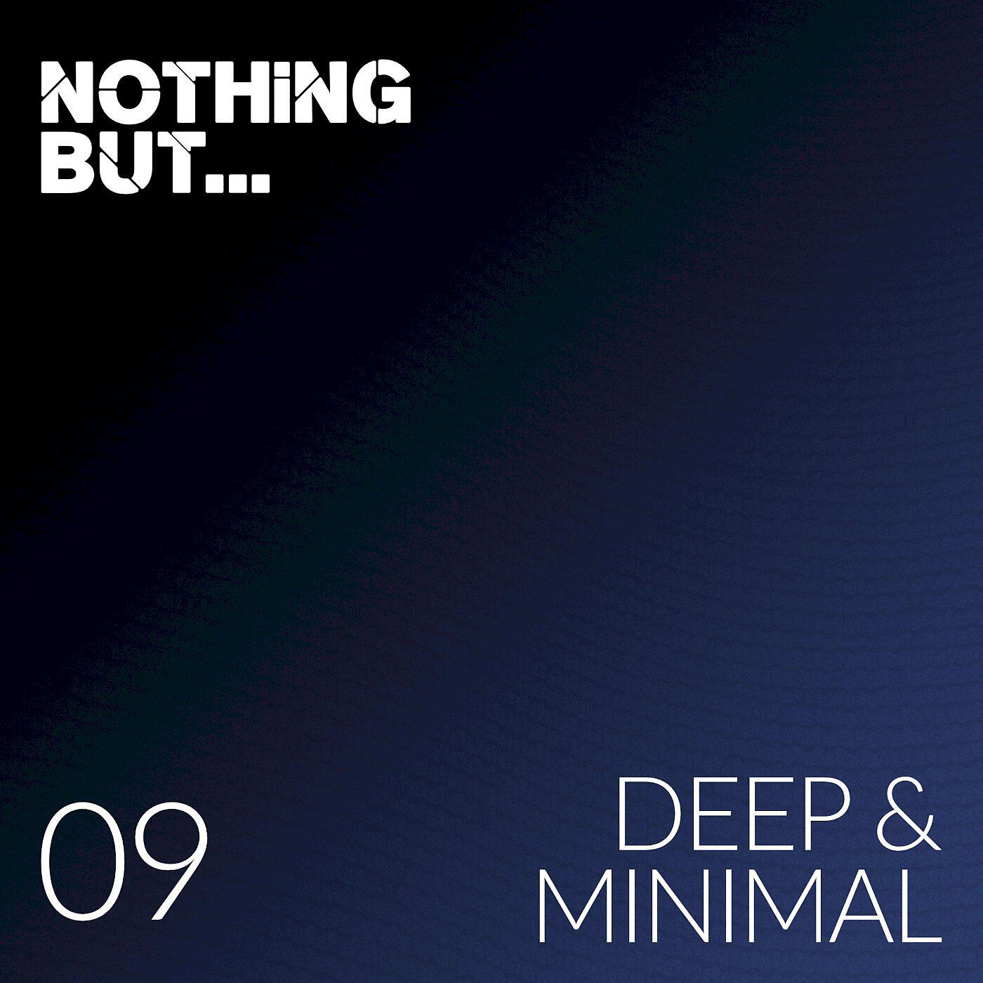 Natural Piece of Aloe - The Funeral of Post-Irony (Ilya Schulz Remix)