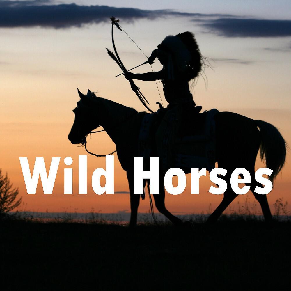 Постер альбома Wild Horses