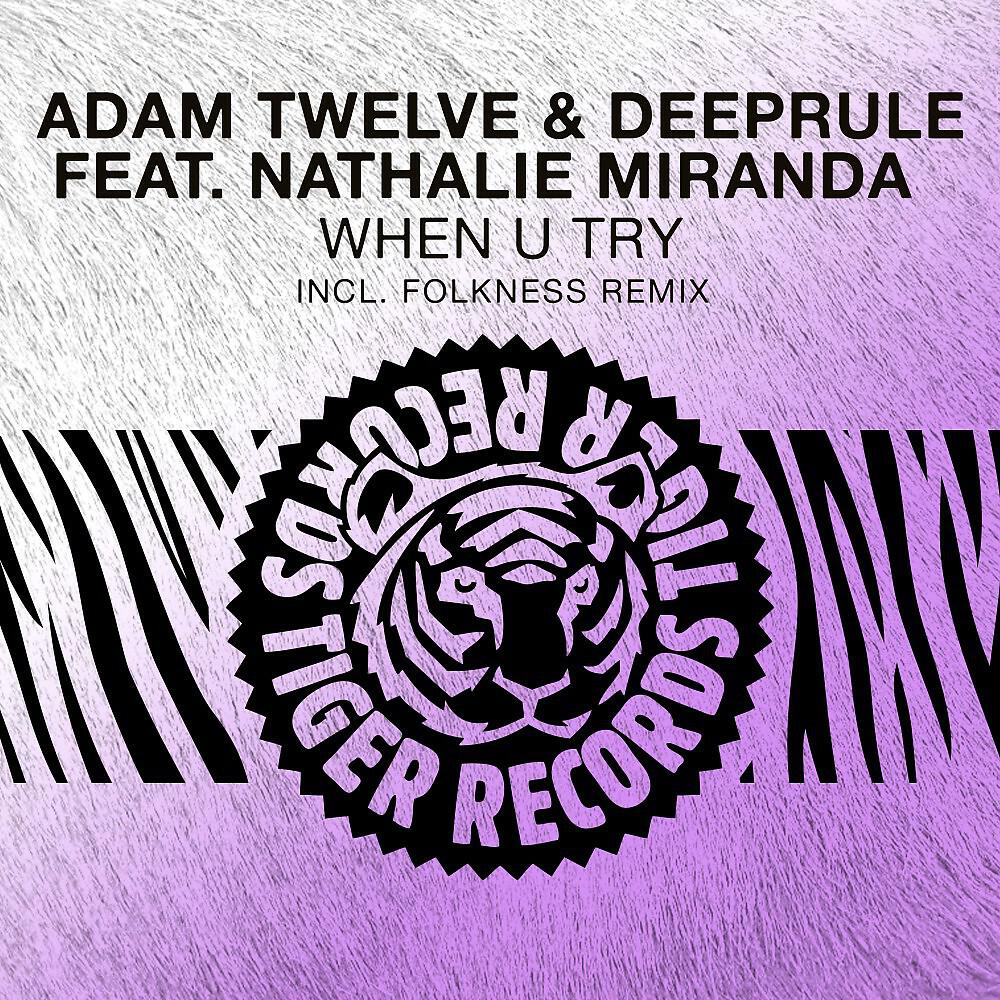 Adam Twelve - When U Try (Folkness Remix)