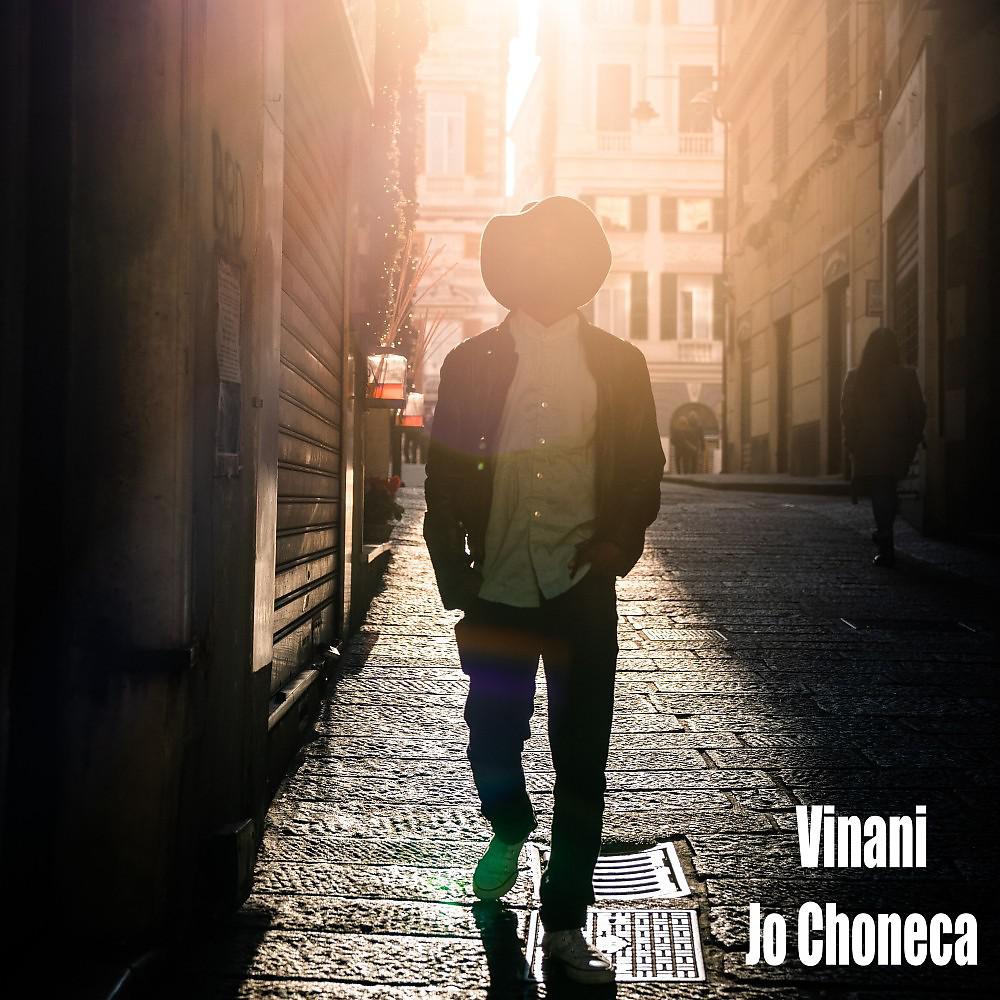 Постер альбома Vinani