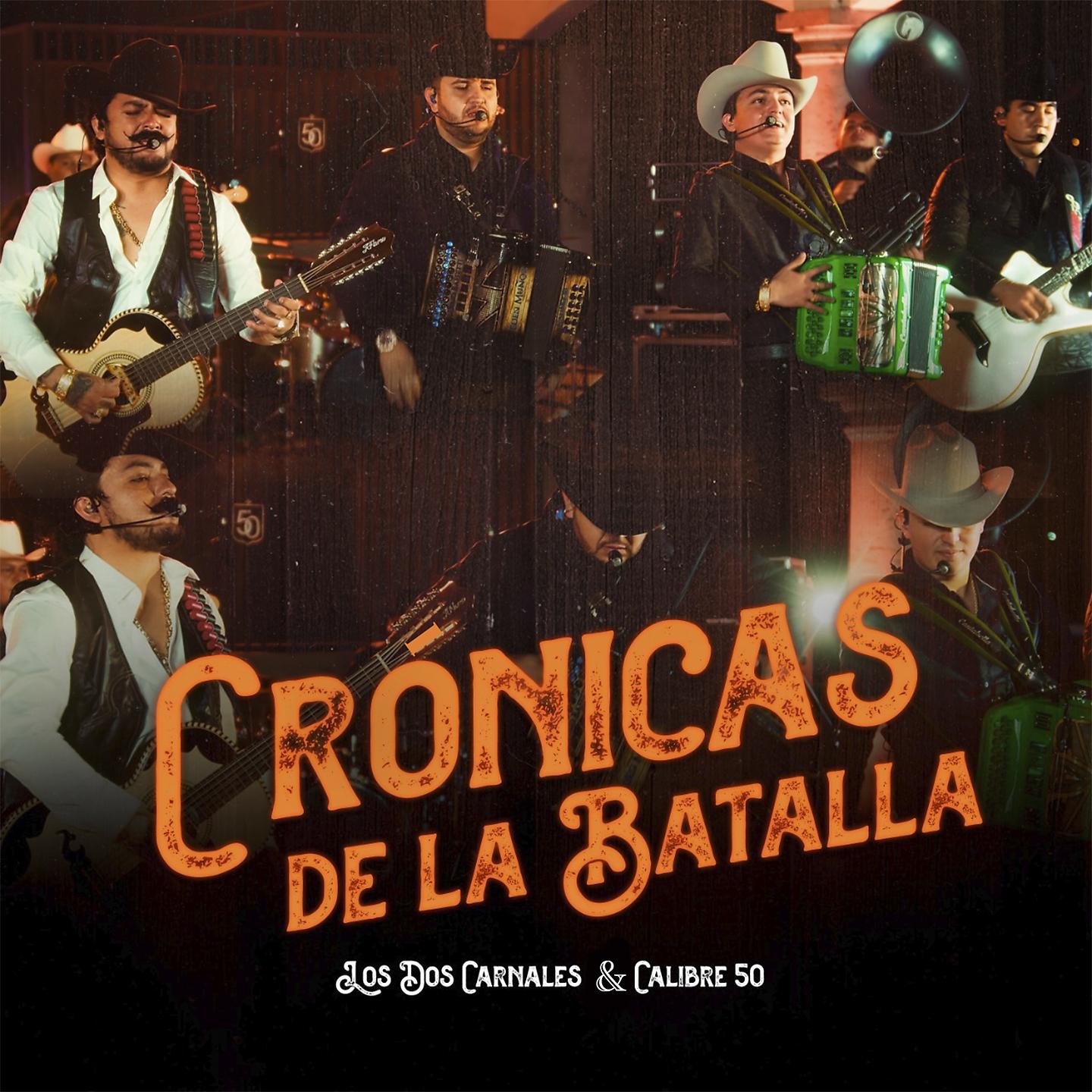 Постер альбома Crónicas de la Batalla