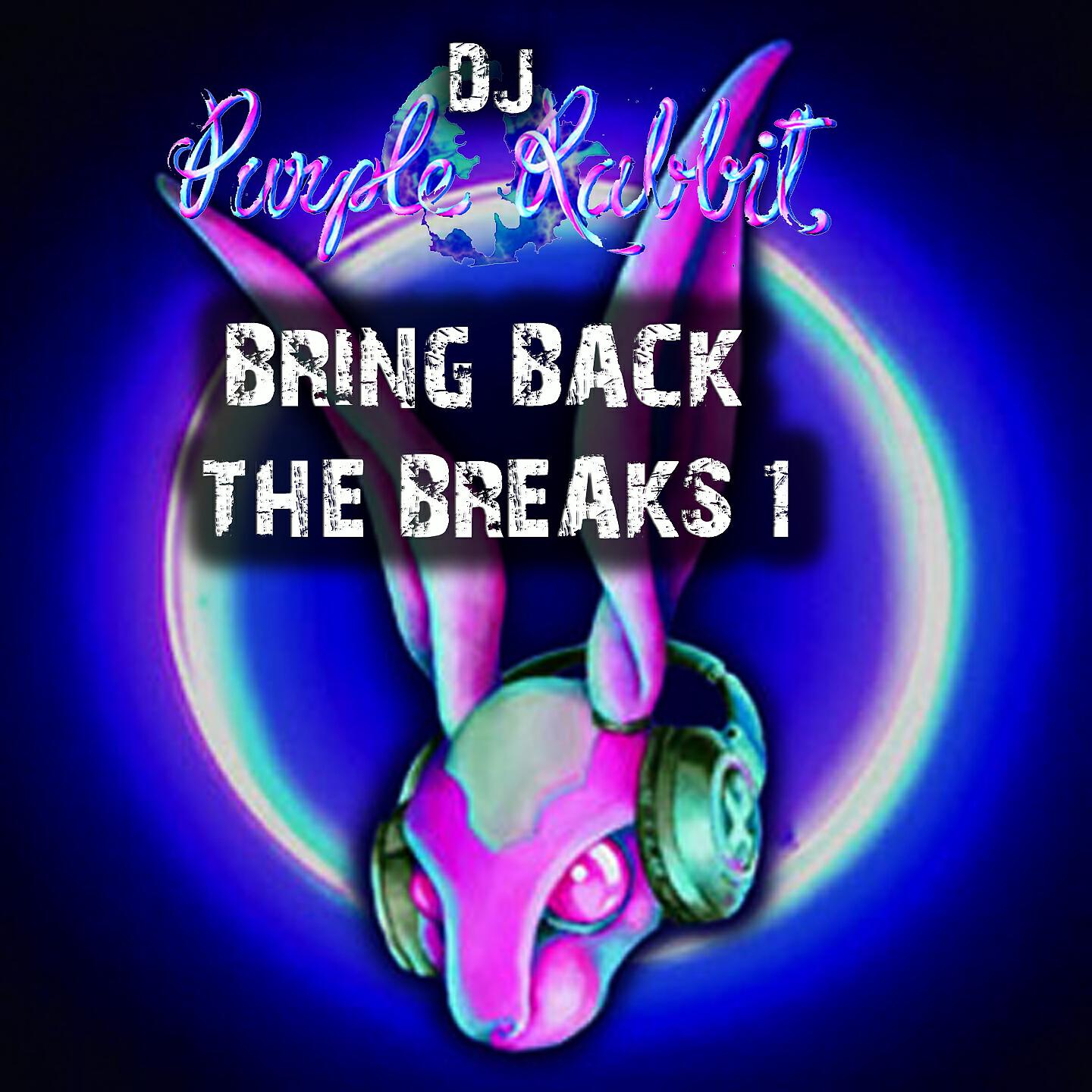 DJ Purple Rabbit - Bad Boyz