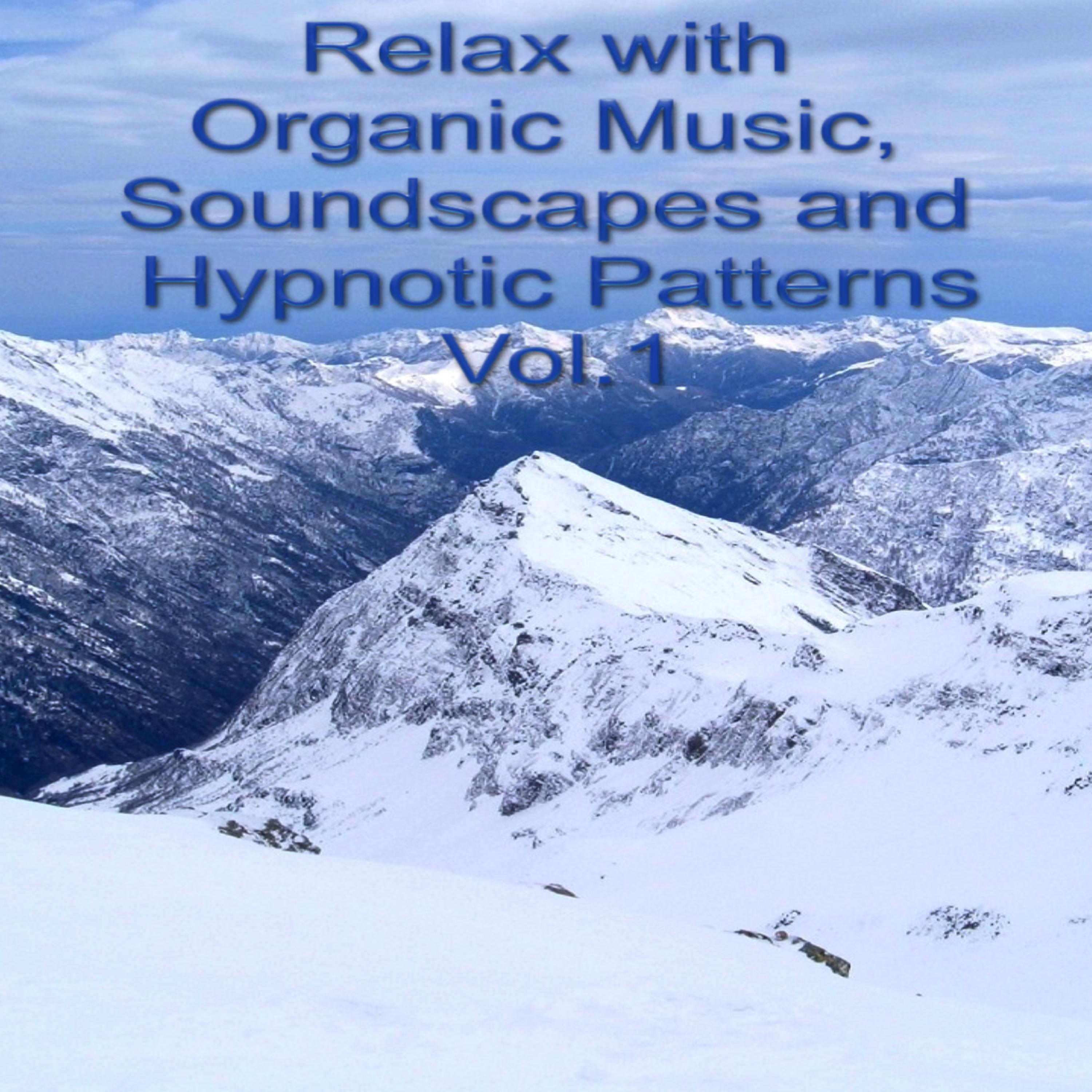 Постер альбома Relax With Organic Music, Soundscapes and Hypnotic Patterns Vol.1