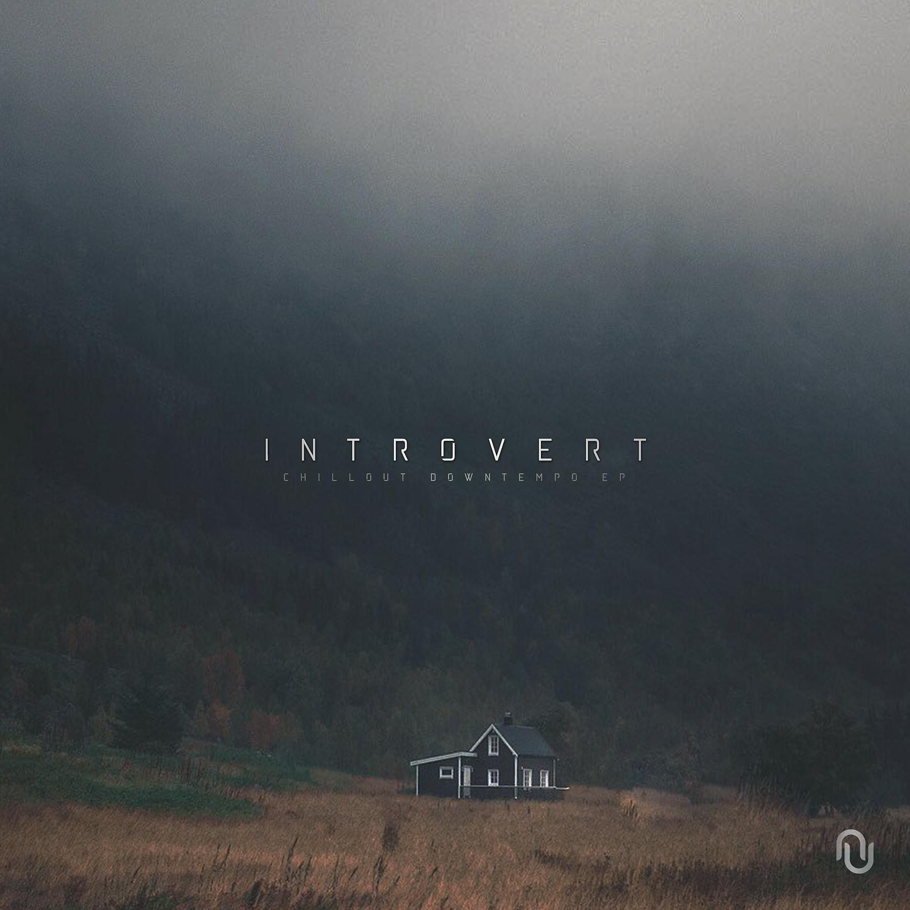 Постер альбома Introvert