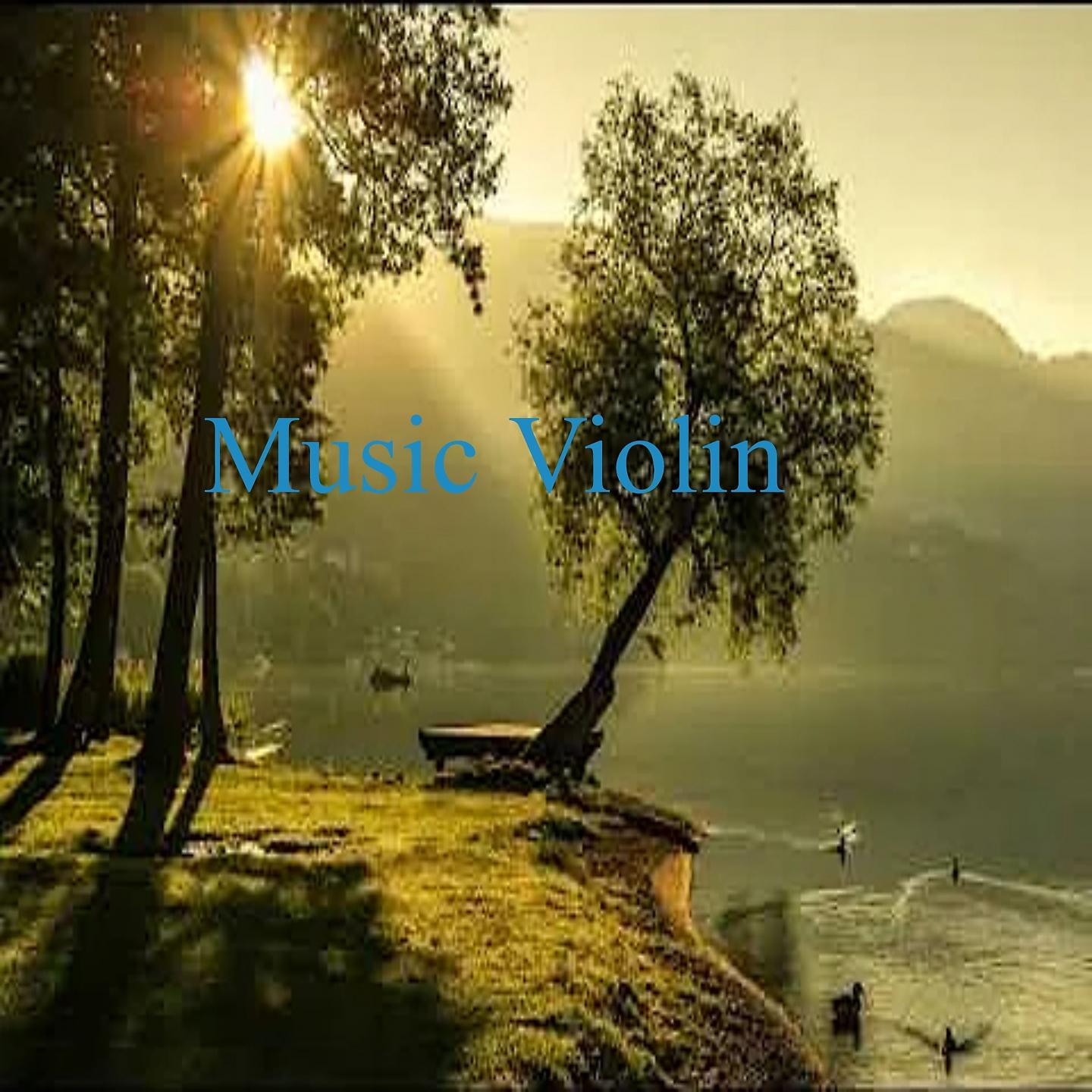 Постер альбома Music Violin