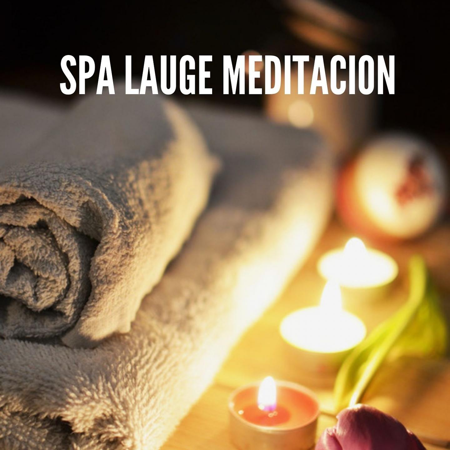 Постер альбома Spa Lauge Meditacion