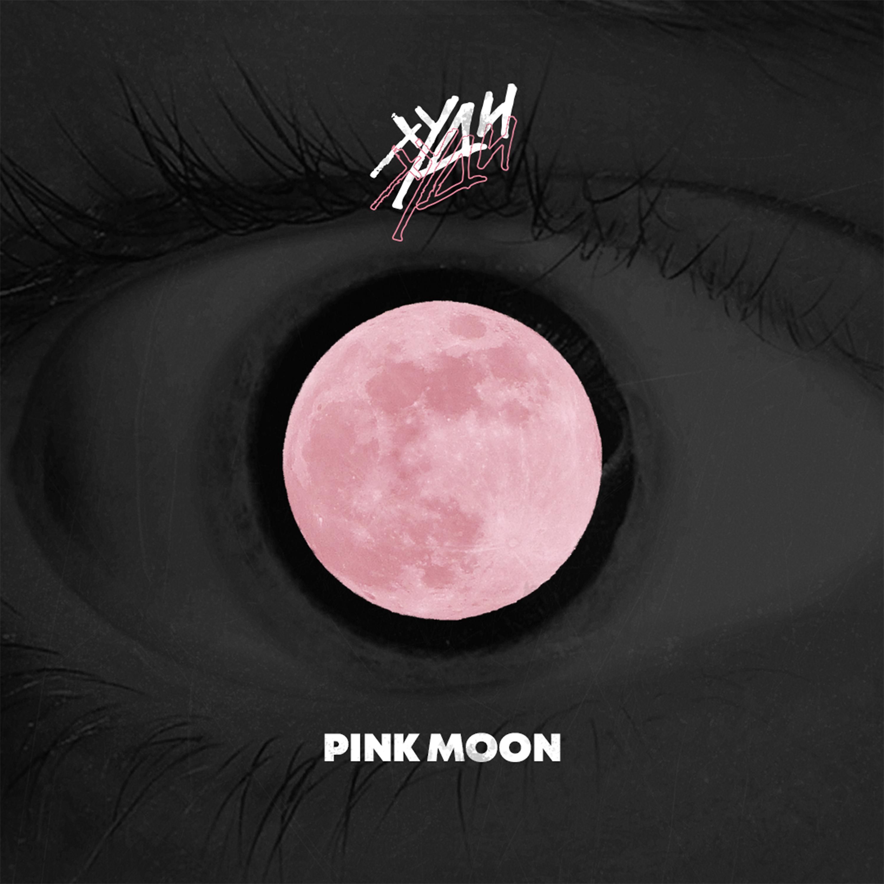 Постер альбома Pink Moon (prod. by Kreyza)