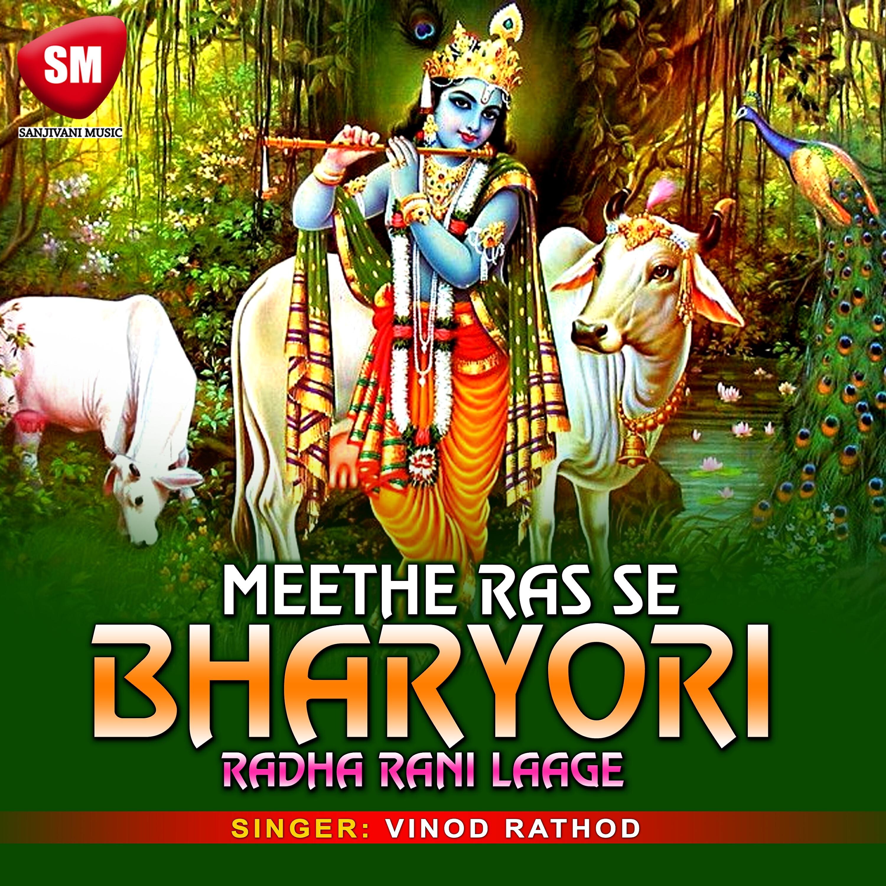Vinod Rathod - Meethe Ras Se Bharyori Radha Rani Laage