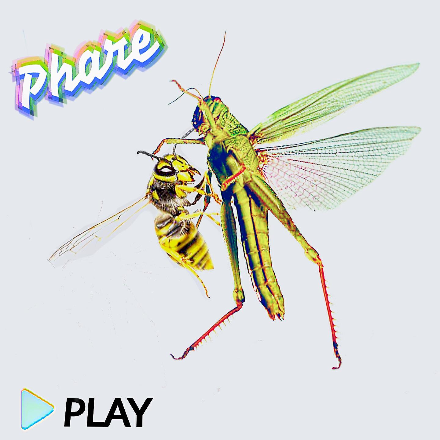 P.H.A.R.E - Karma Sutra