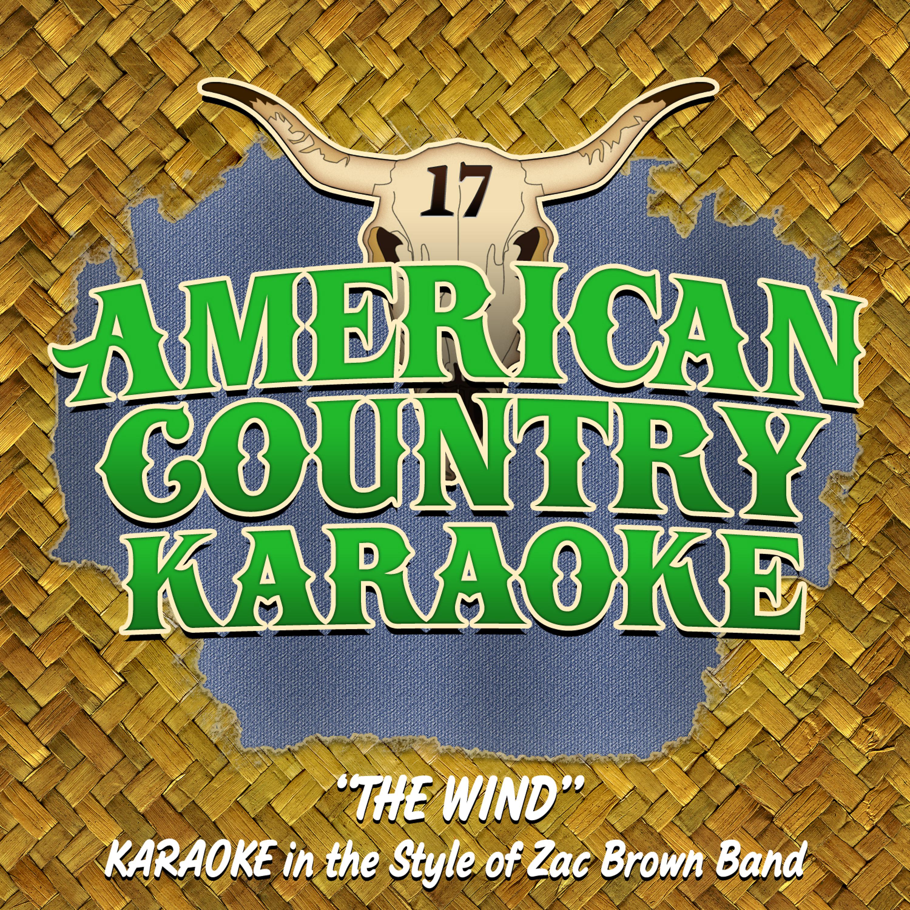 Постер альбома The Wind (Karaoke in the Style of Zac Brown Band)