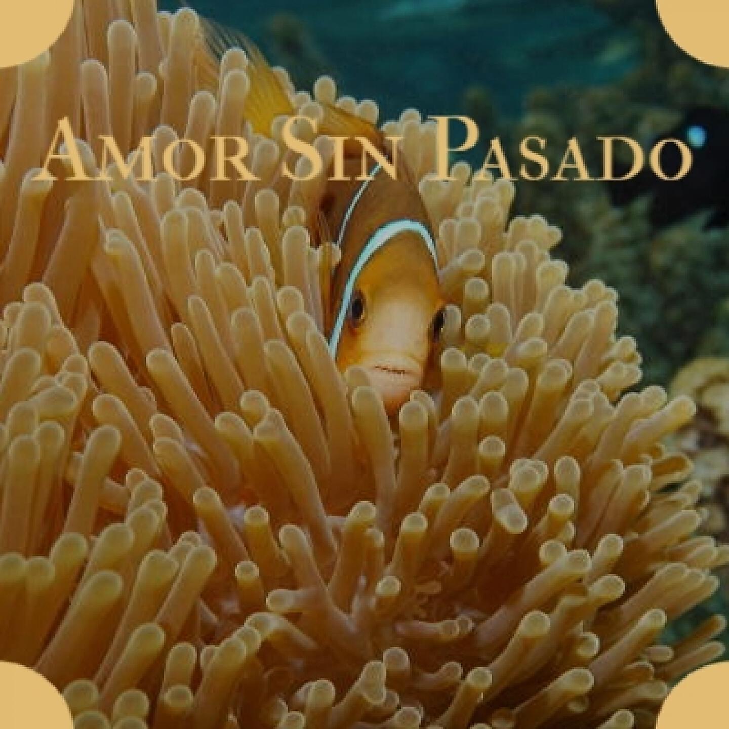 Anibal Troilo - Bandoneon Arrabalero