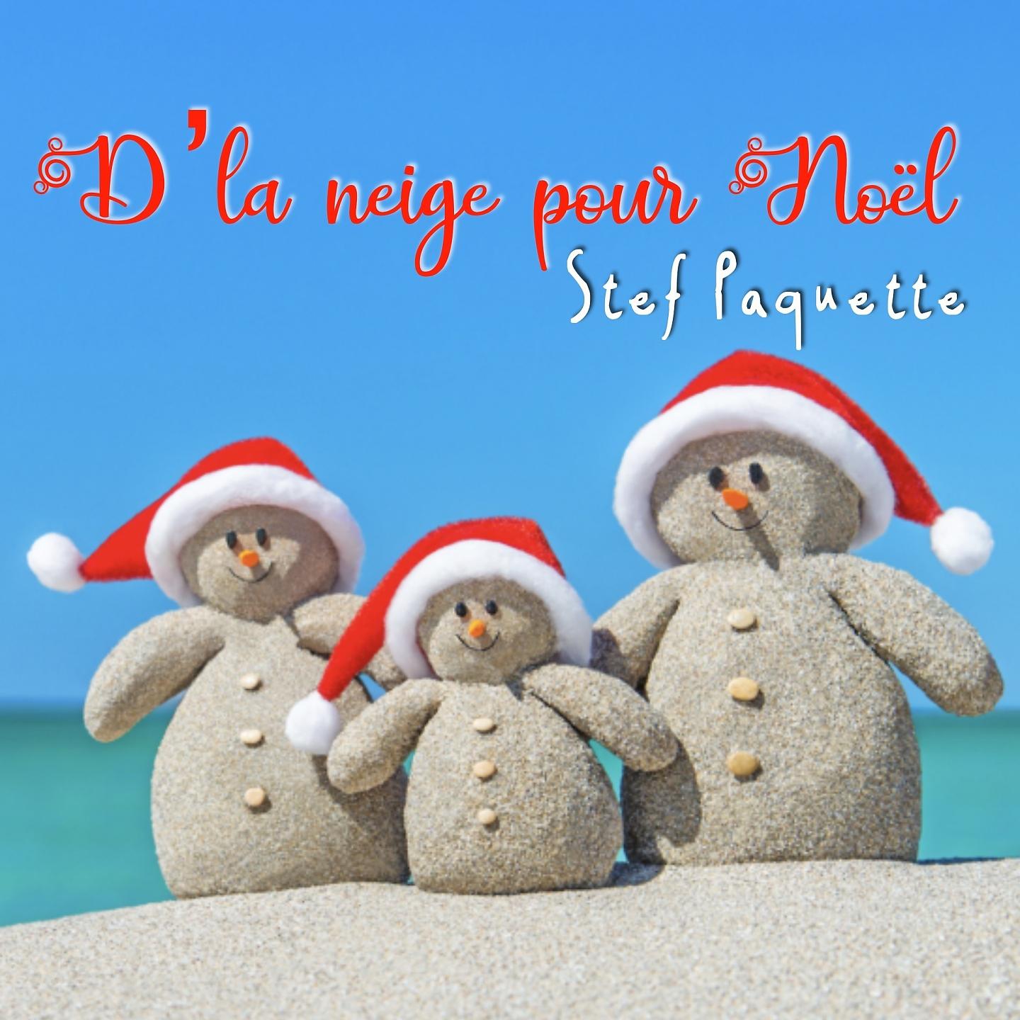 Постер альбома D'la neige pour Noël