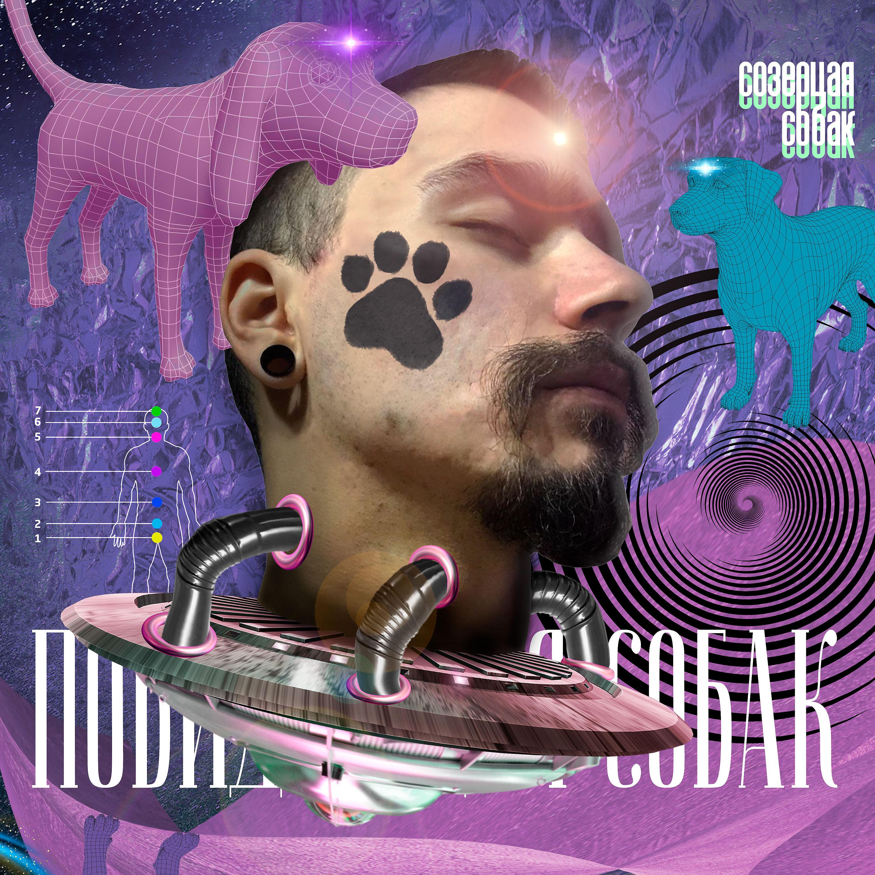 Постер альбома Созерцая собак