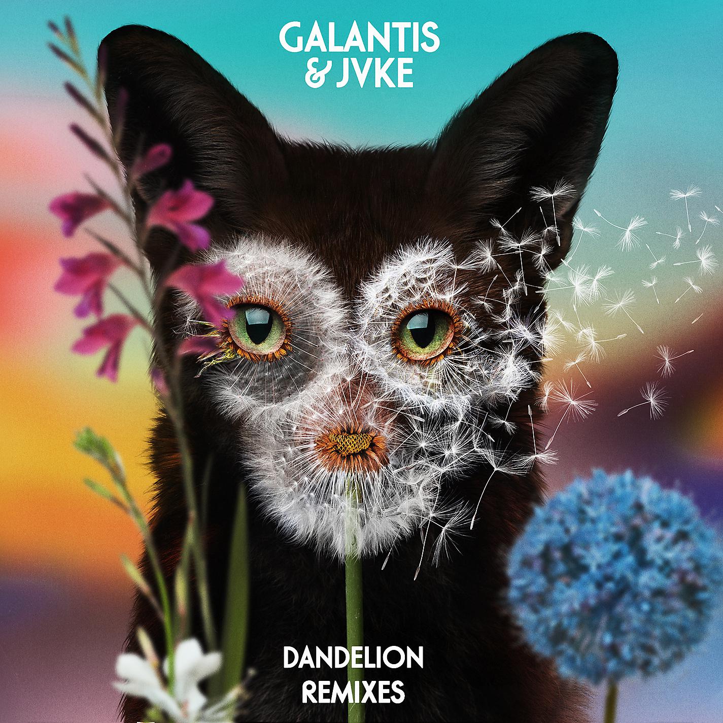 Постер альбома Dandelion (Remixes)
