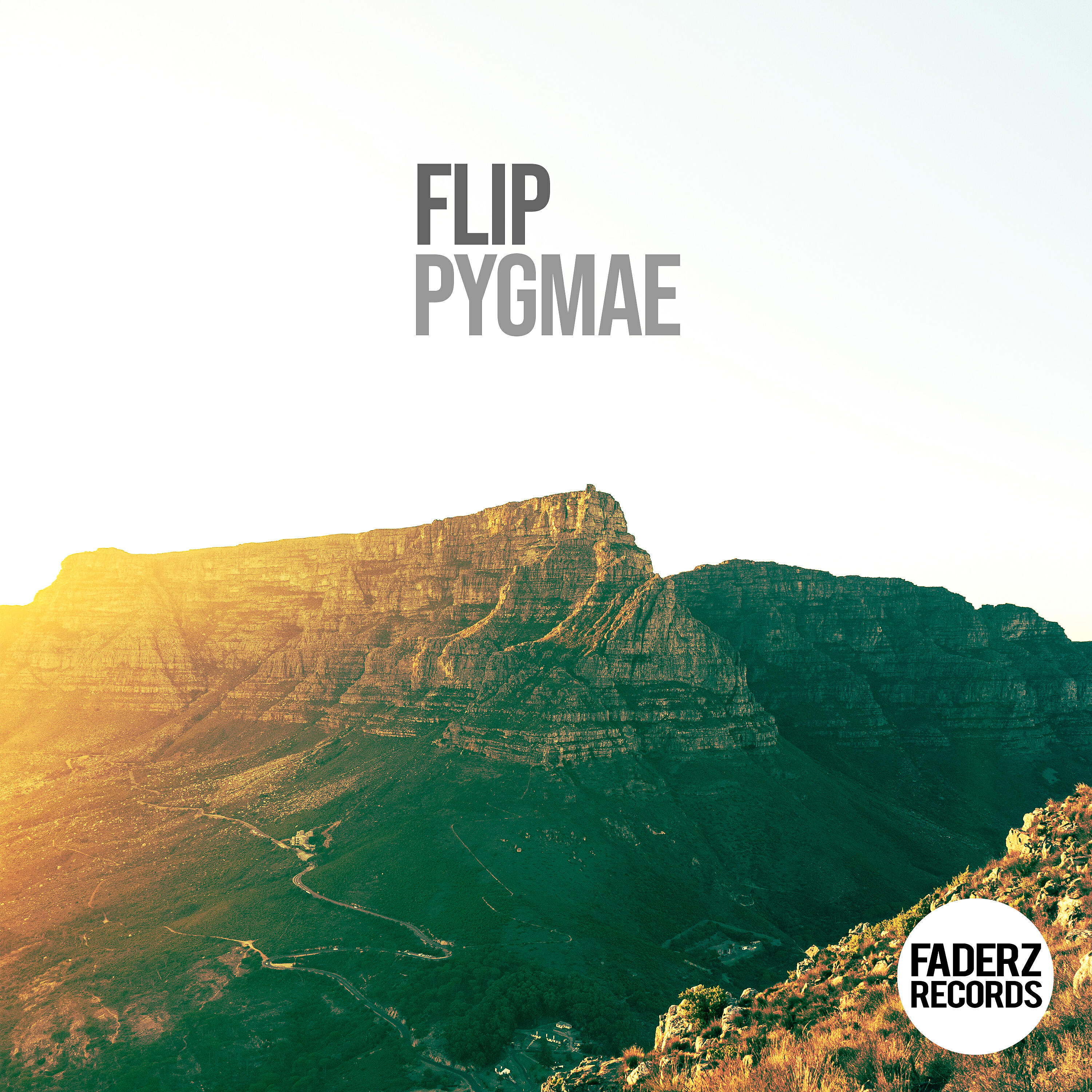 Flip - Pygmae (Kid Massive AppleJack Remix)