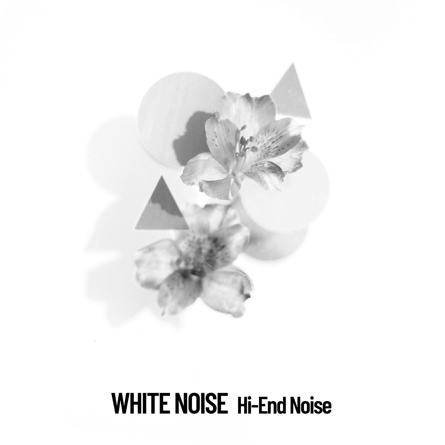 White Noise Studios - Delta Wave Conservation