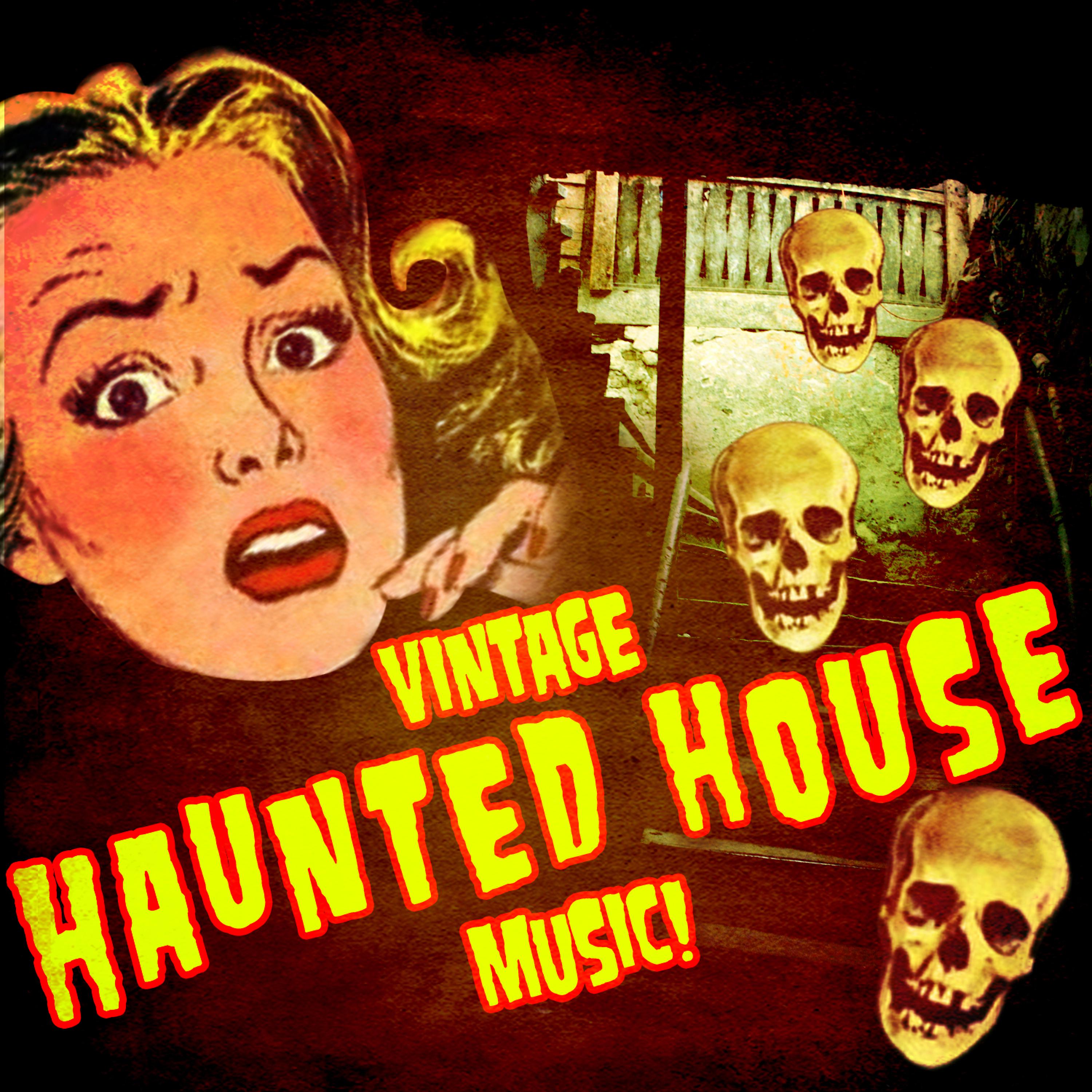 Постер альбома Vintage Haunted House Music!