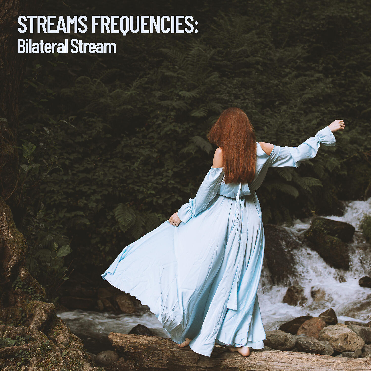 The Nature Soundscapes - Rainy Waterflow Swim