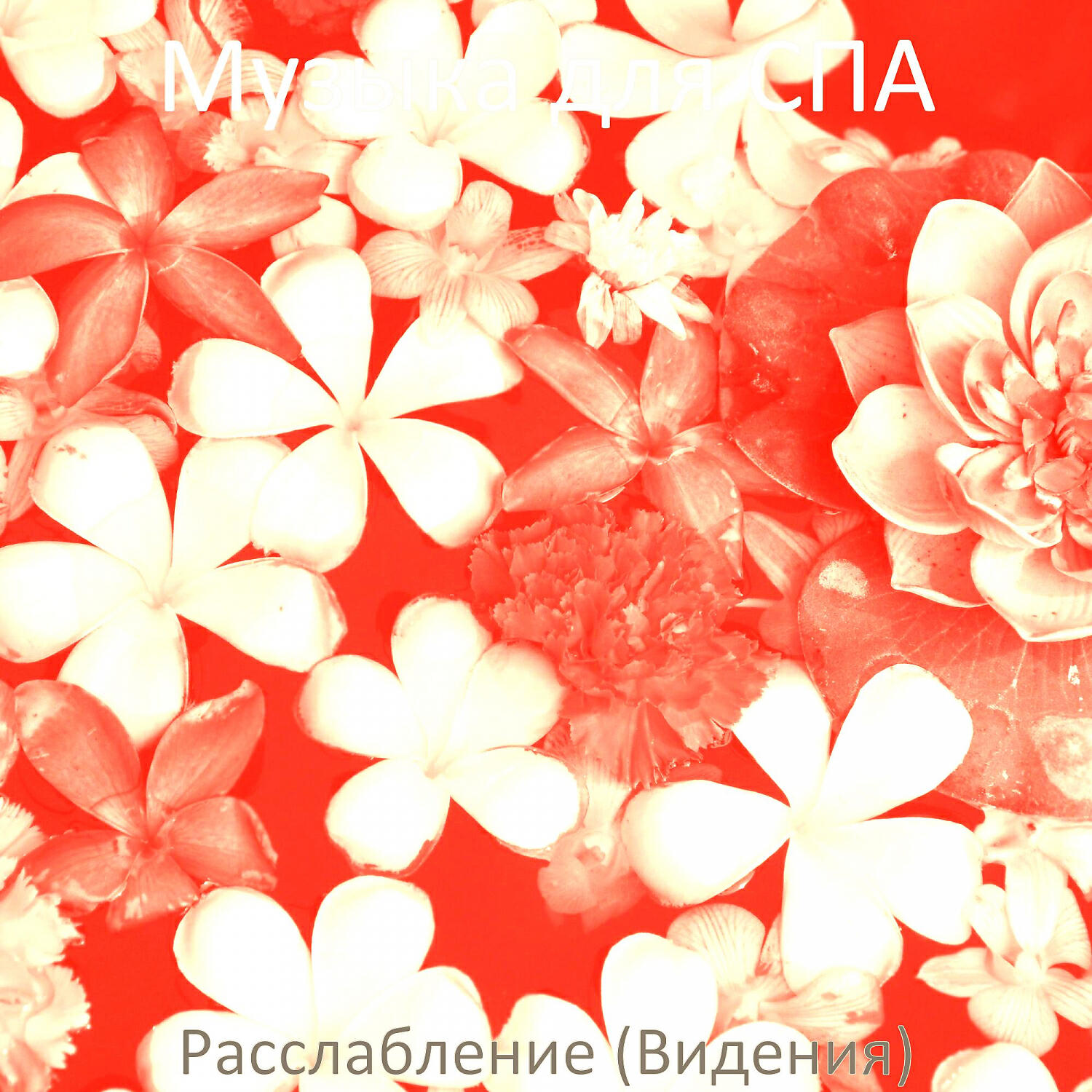 Альбом Расслабление (Видения) исполнителя Музыка для СПА