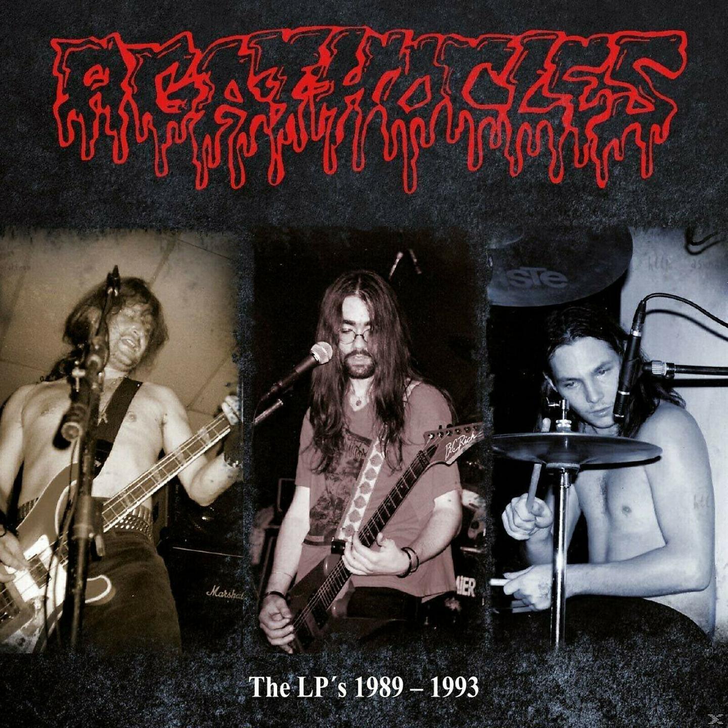 Agathocles - Fake Friend