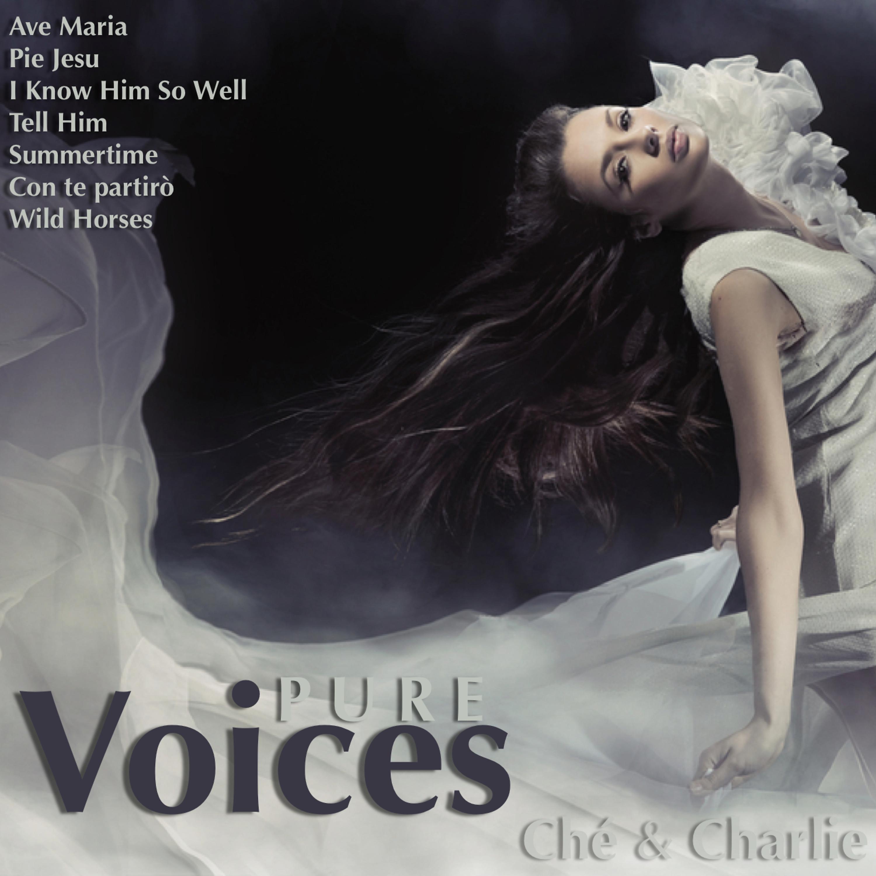 Постер альбома Pure Voices