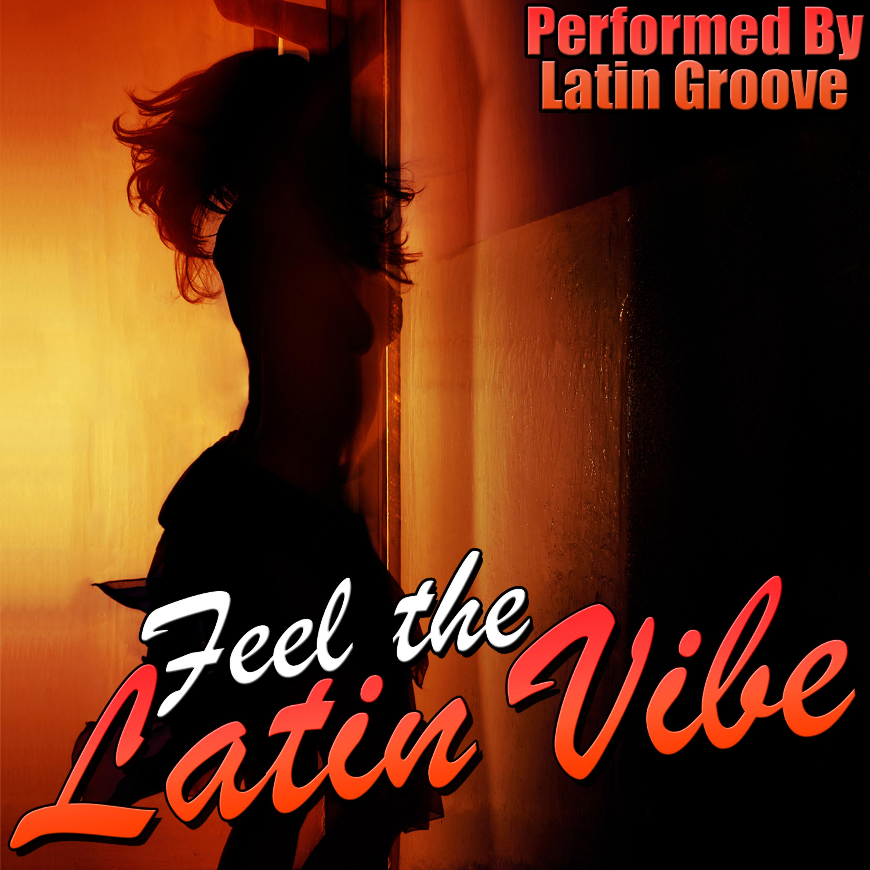 Постер альбома Feel the Latin Vibe