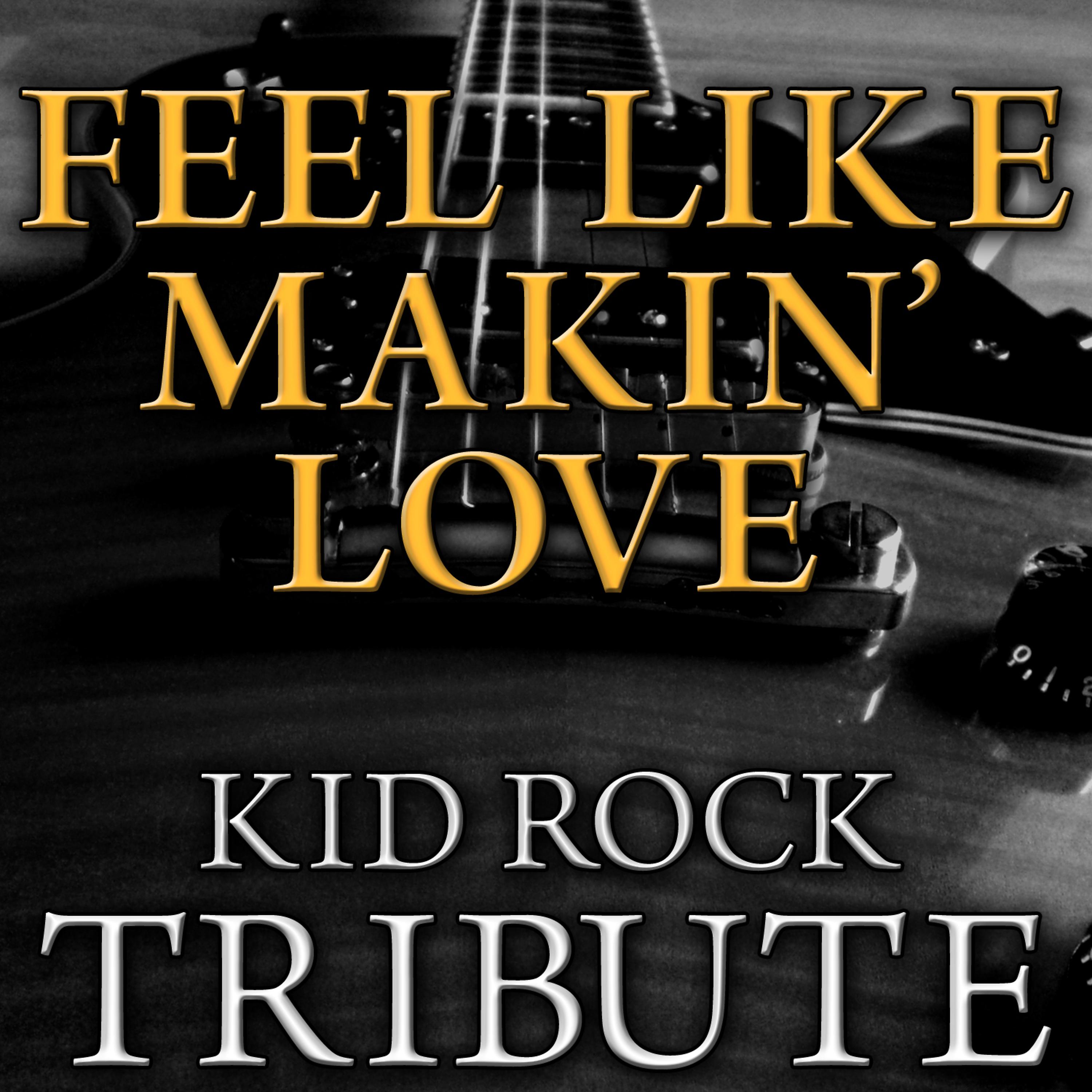 Постер альбома Feel Like Makin' Love - Kid Rock Tribute