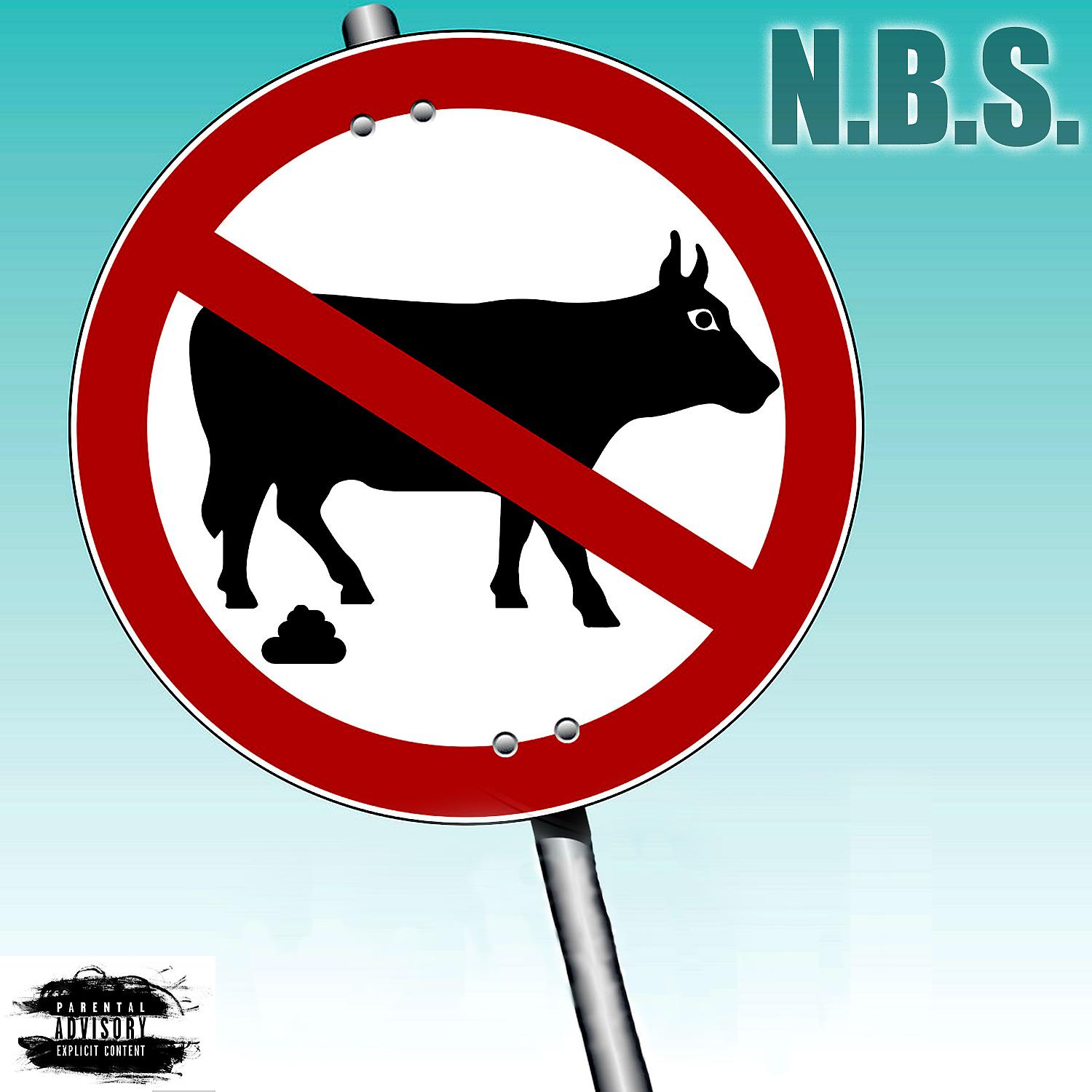 Постер альбома N.B.S. (feat. NoBullshit Shane)
