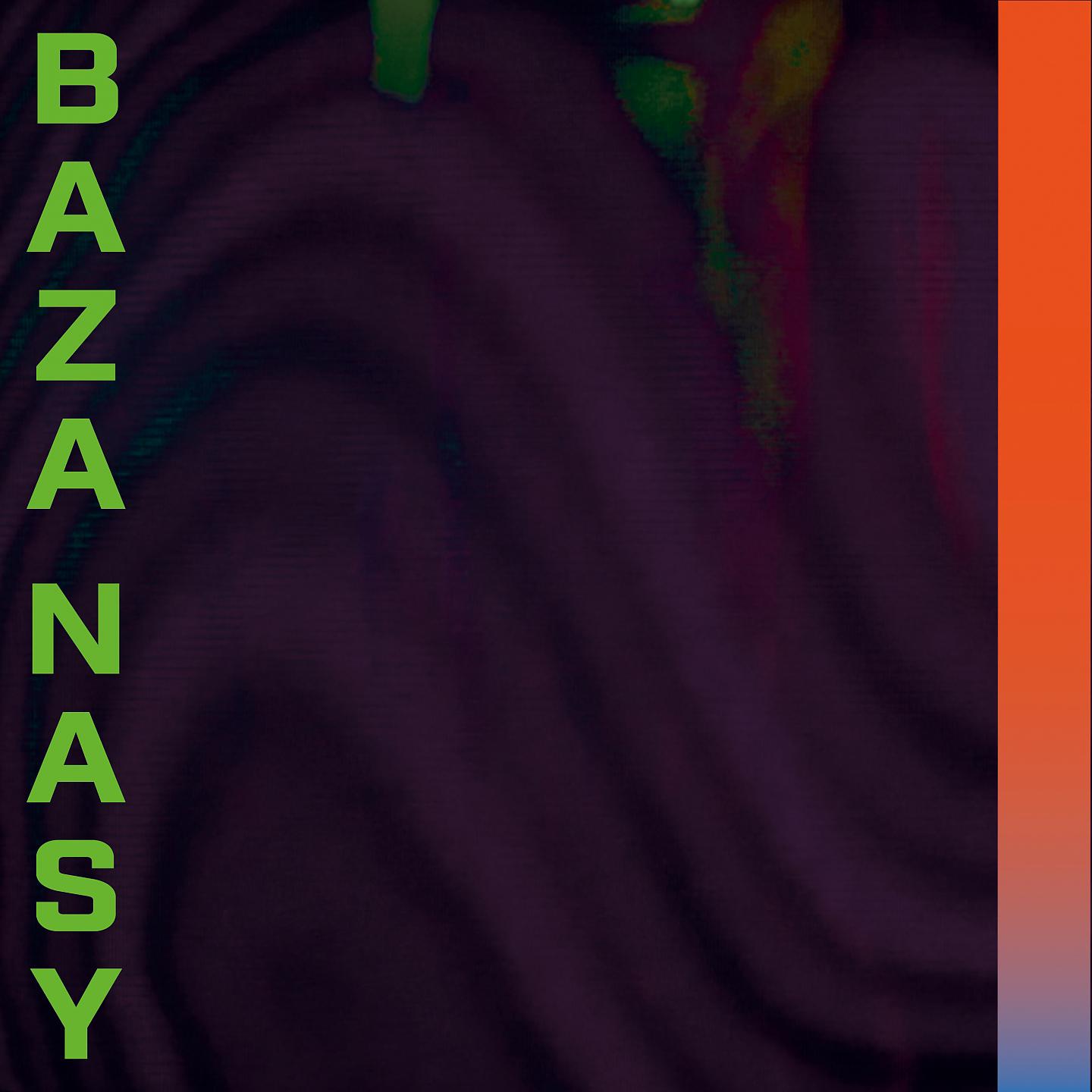 Постер альбома Baza Nasy