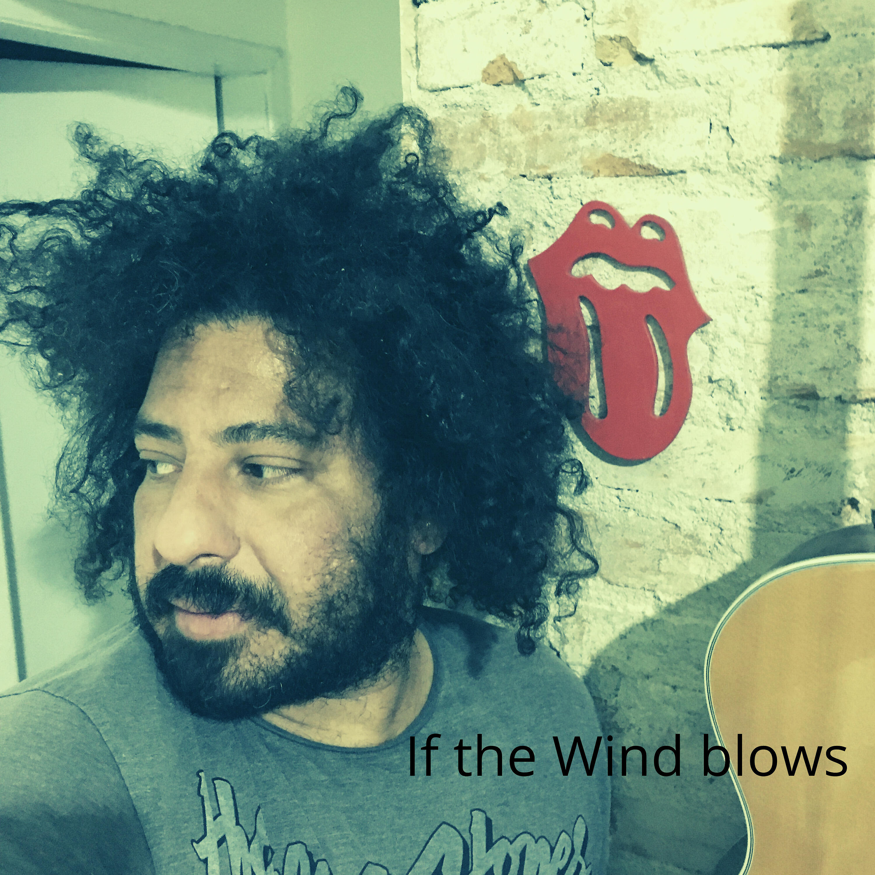 Fabiano Nasi - If the Wind Blows (Cover)