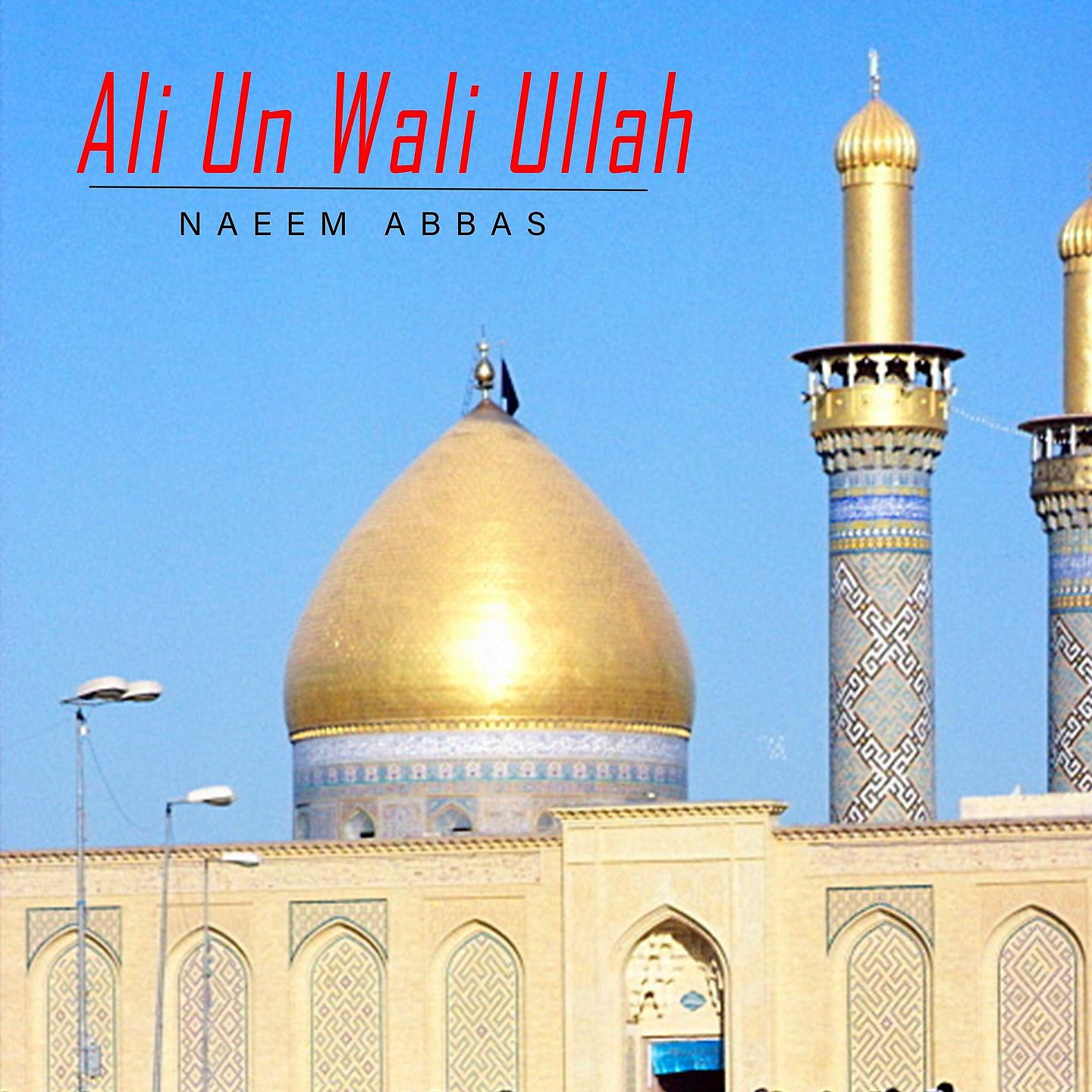 Постер альбома Ali Un Wali Ullah