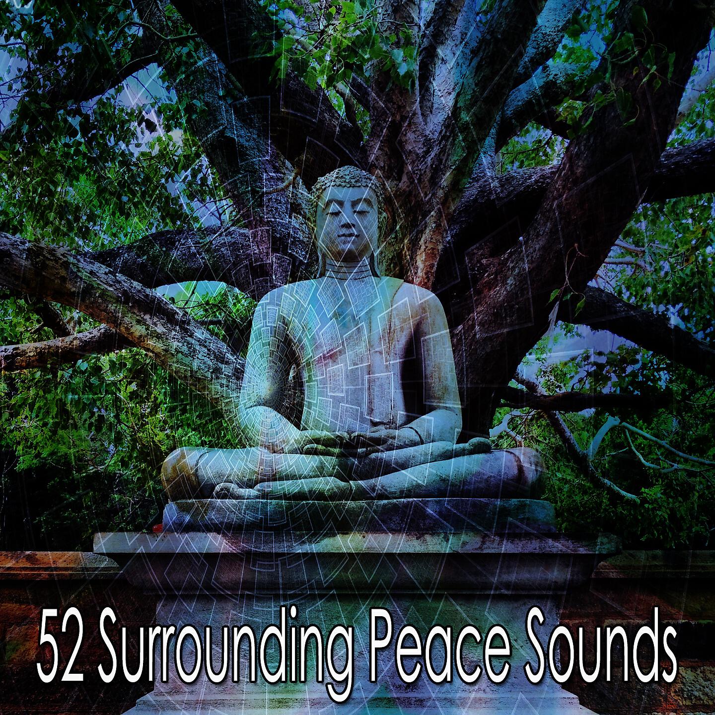 Brain Study Music Guys - Wise World