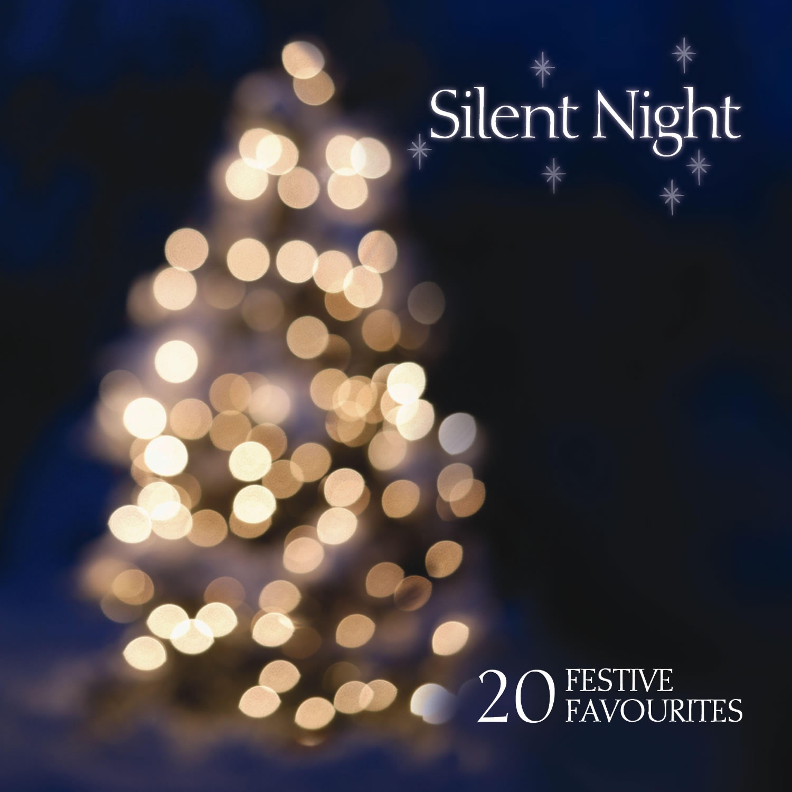 Постер альбома Silent Night… 20 Festive Favourites