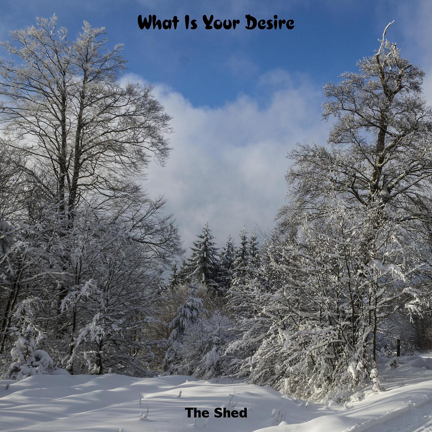 Постер альбома What Is Your Desire