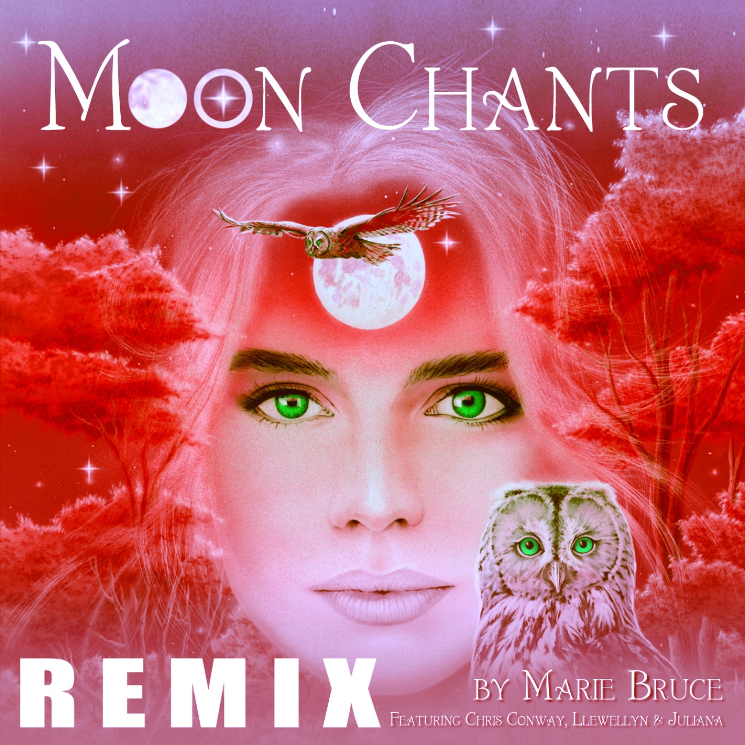 Постер альбома Moon Chants - Earthy Remix (Download Exclusive)