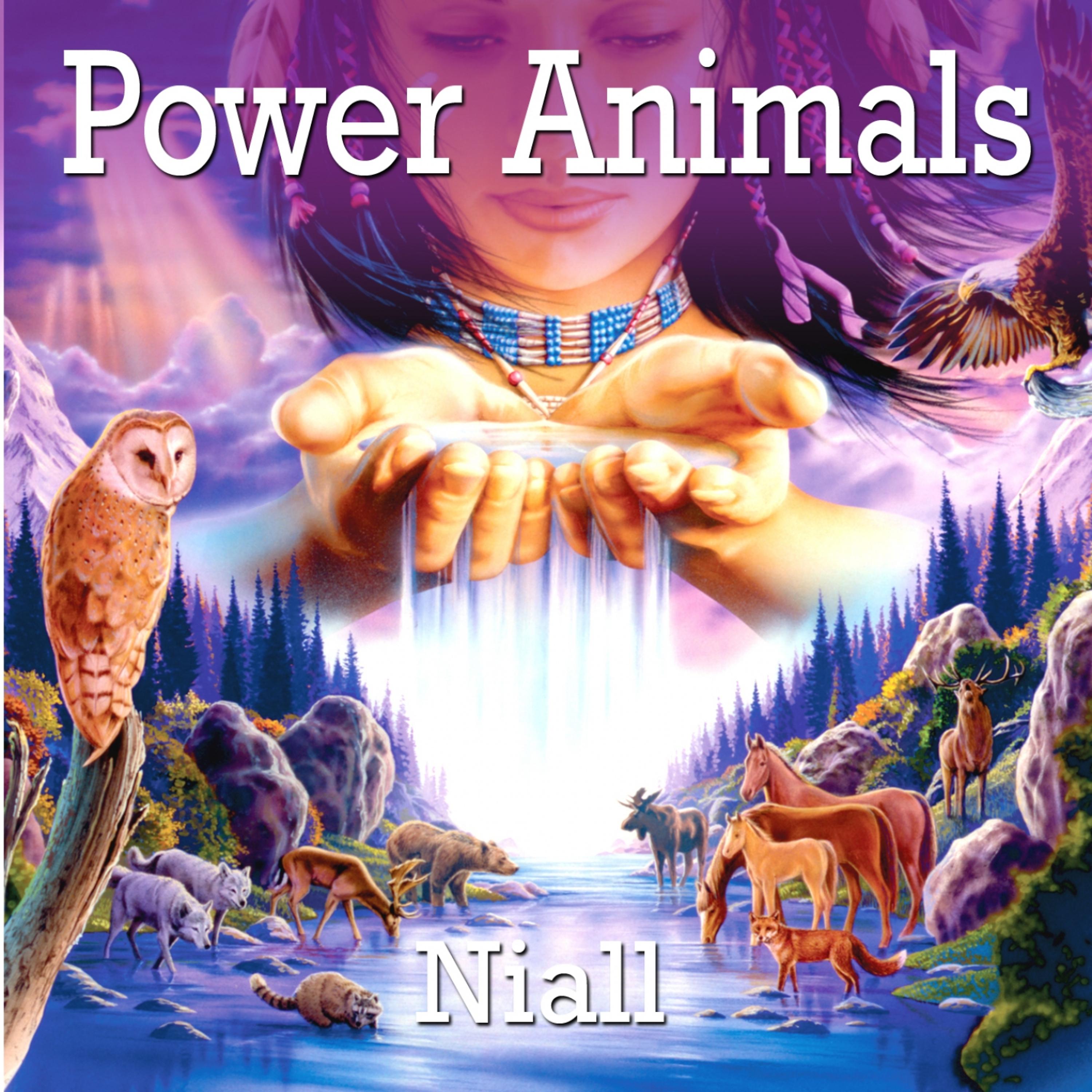 Постер альбома Power Animals
