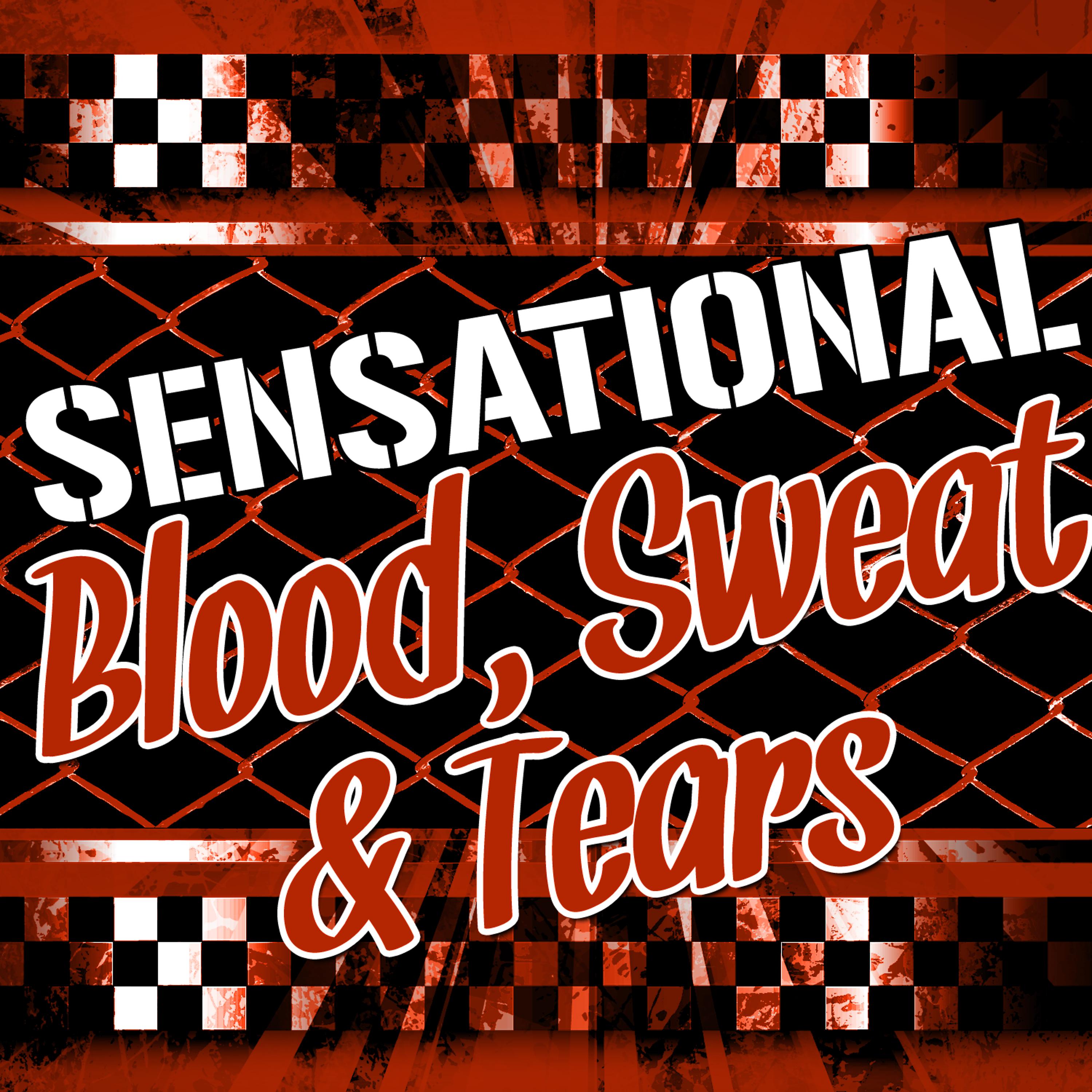 Постер альбома Sensational Blood, Sweat & Tears