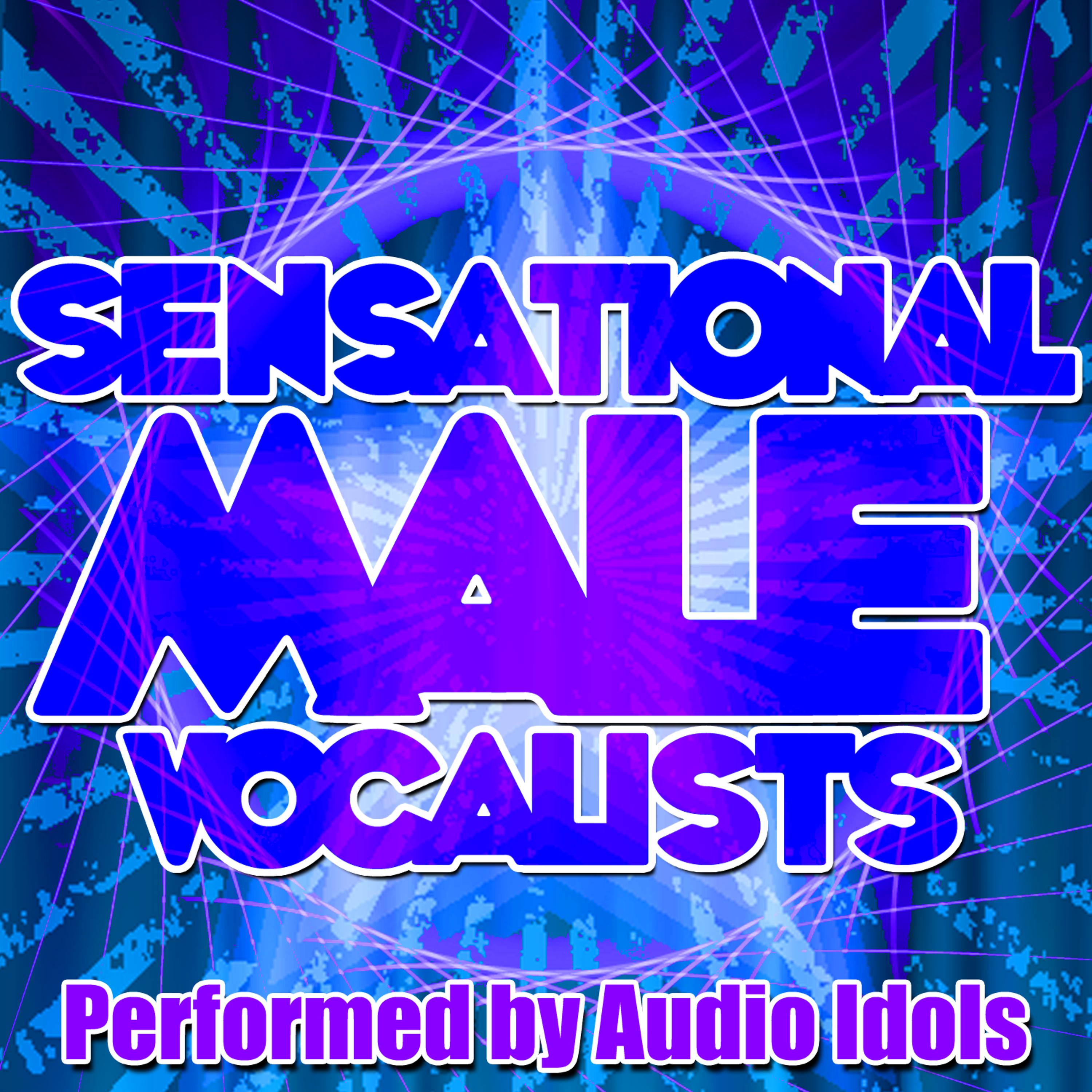 Постер альбома Sensational Male Vocalists