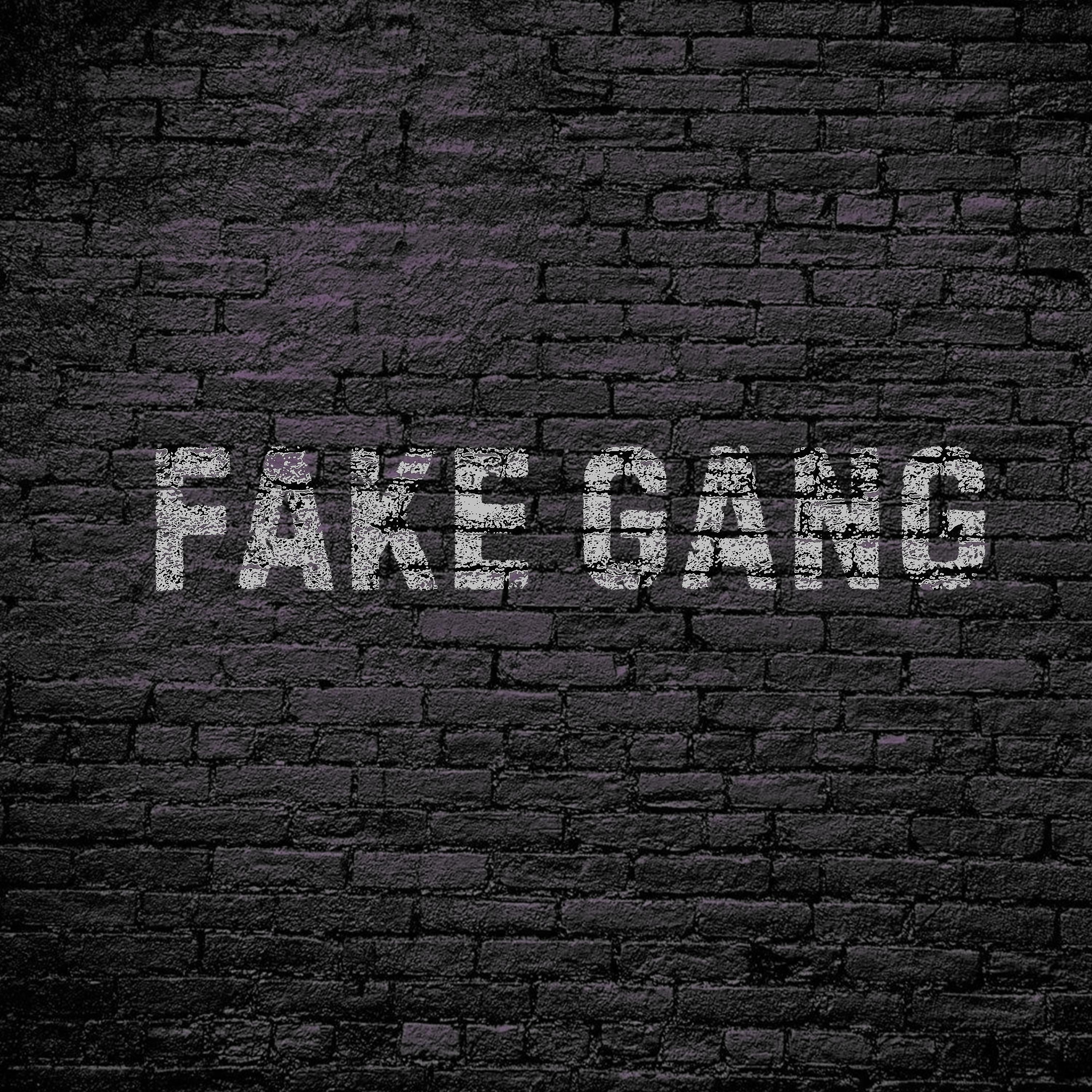 Постер альбома Fake Gang