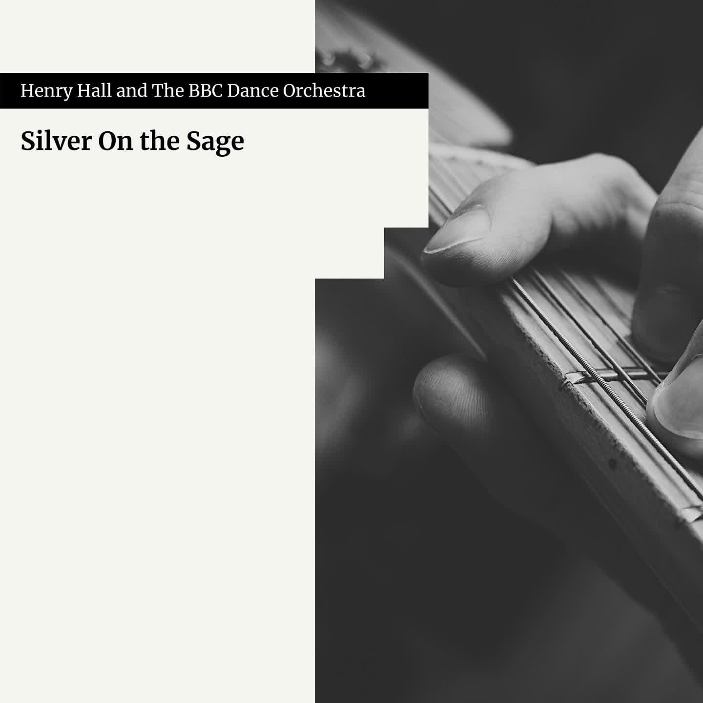 Постер альбома Silver on the Sage
