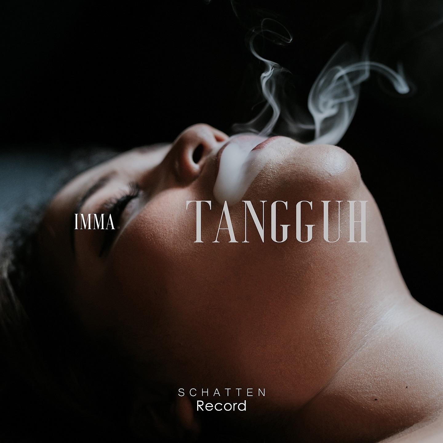 Постер альбома Tangguh