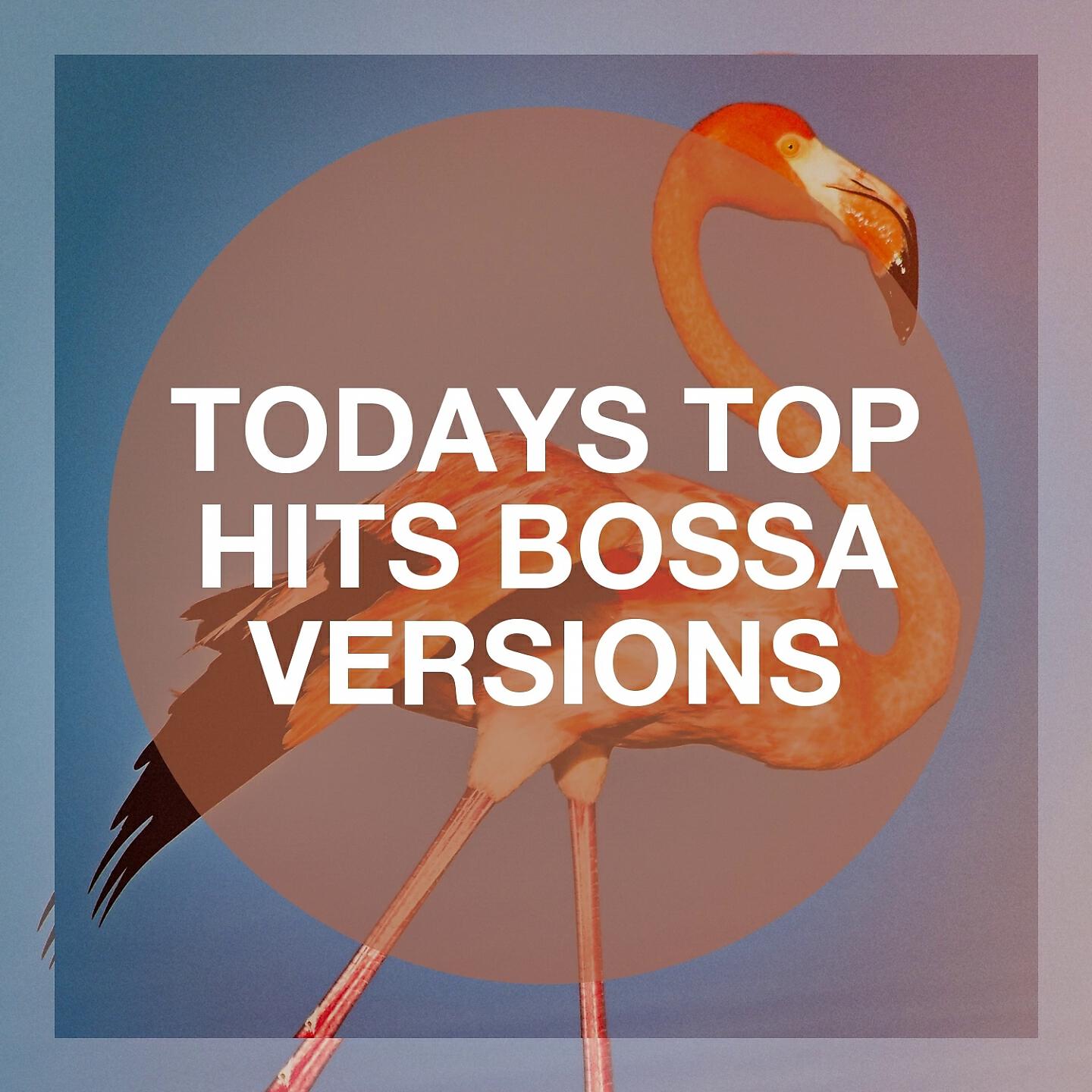 Альбом Todays Top Hits Bossa Versions исполнителя Bosanova Brasilero, Brazilian Jazz, Bossanova