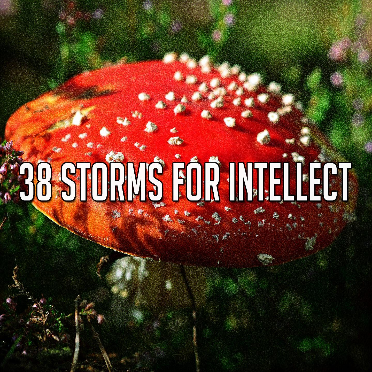 Rain Sounds & Nature Sounds - Thors Awakening